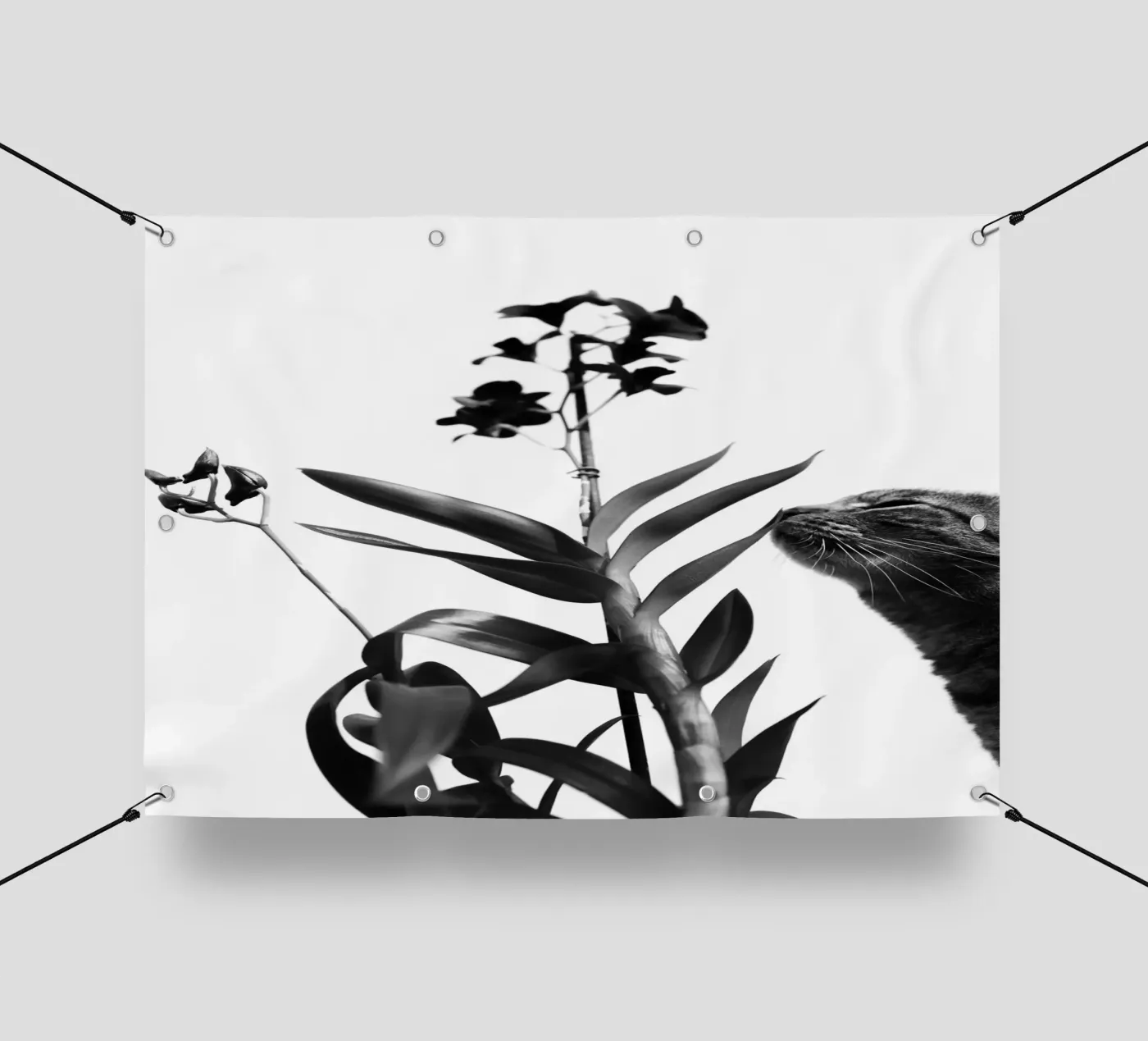 Sensitive telo in pvc da rafael campezato