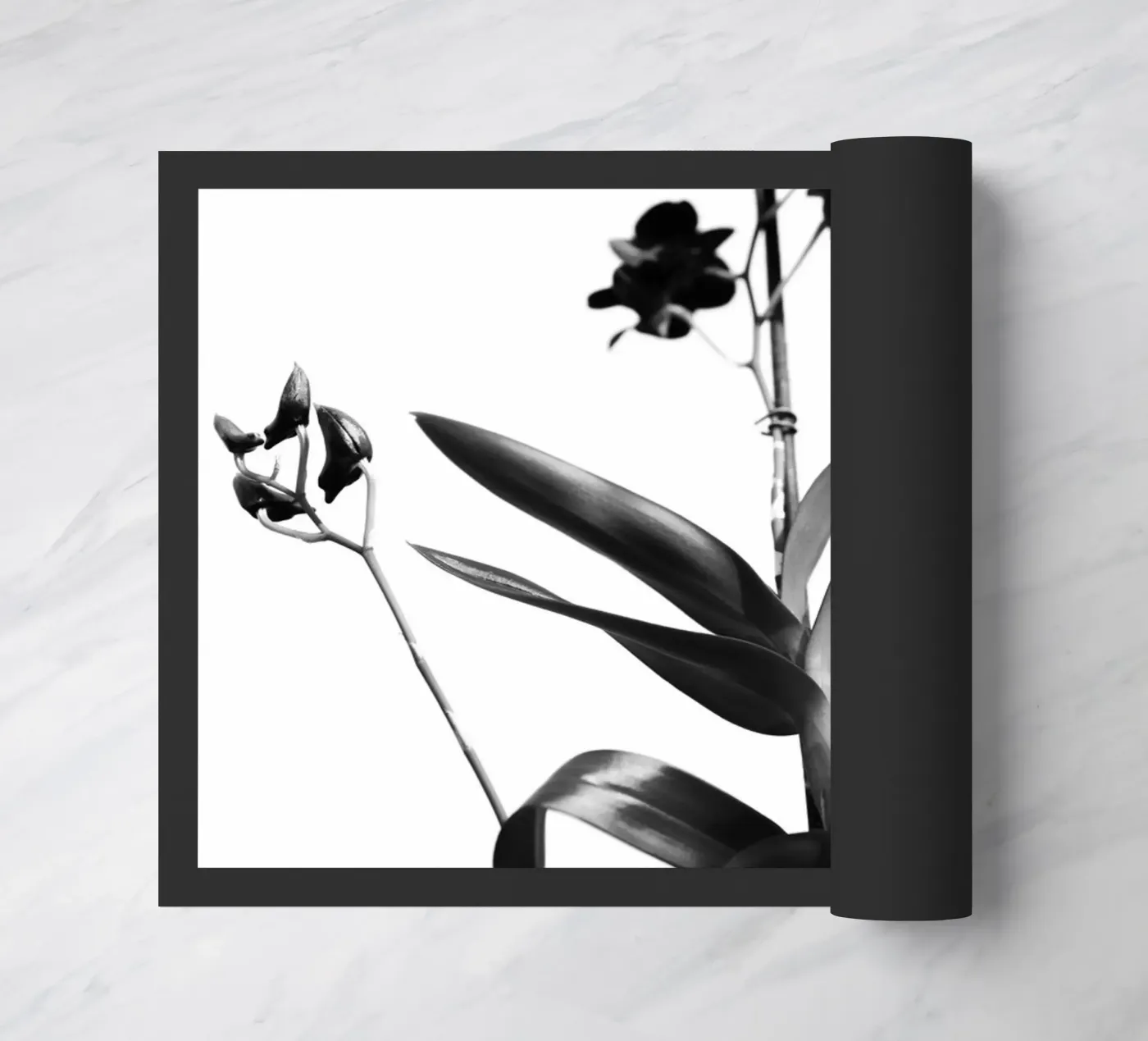 Sensibile zerbino da rafael campezato