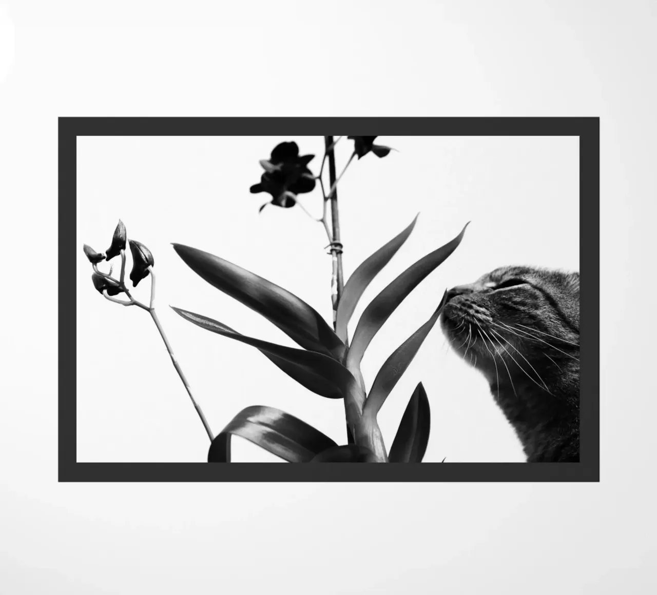 Sensitive doormat by rafael campezato