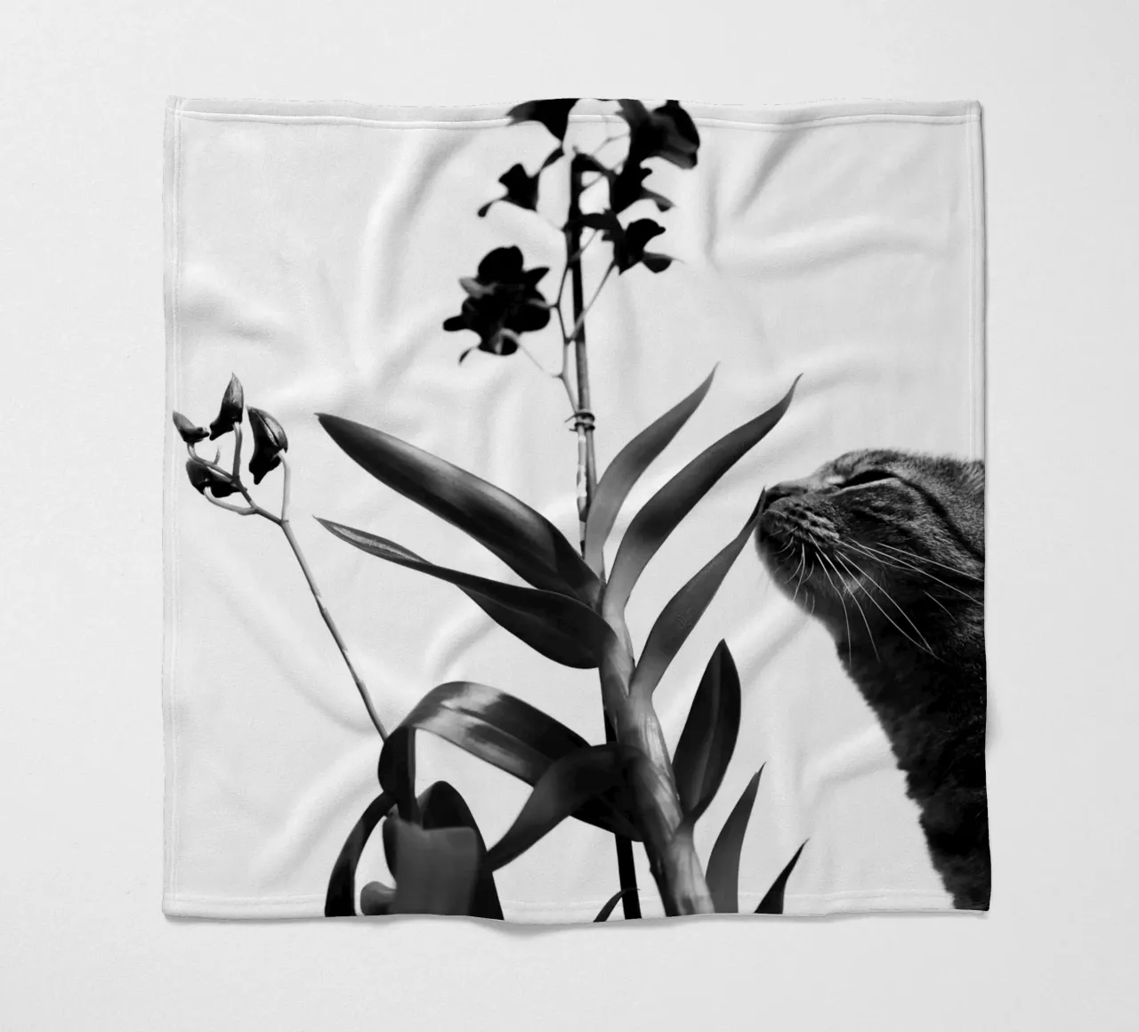 Sensitive fleece blanket by rafael campezato