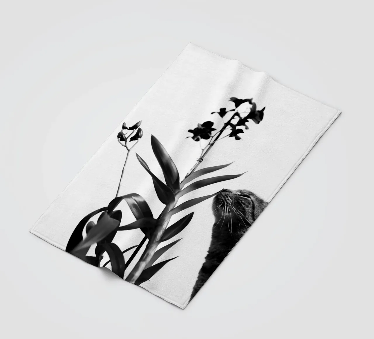 Sensitive fleece blanket by rafael campezato