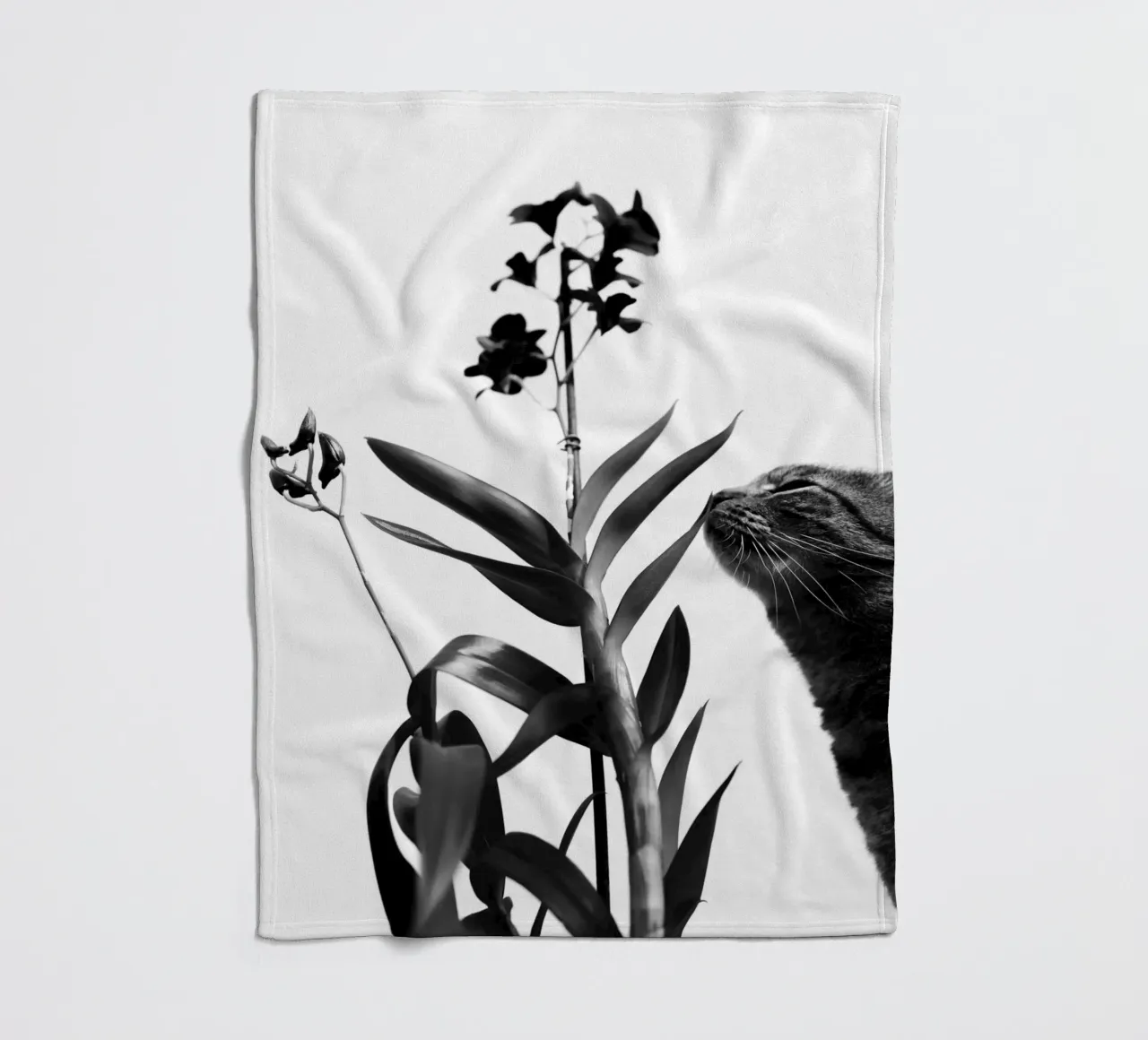 Sensitive fleece blanket by rafael campezato