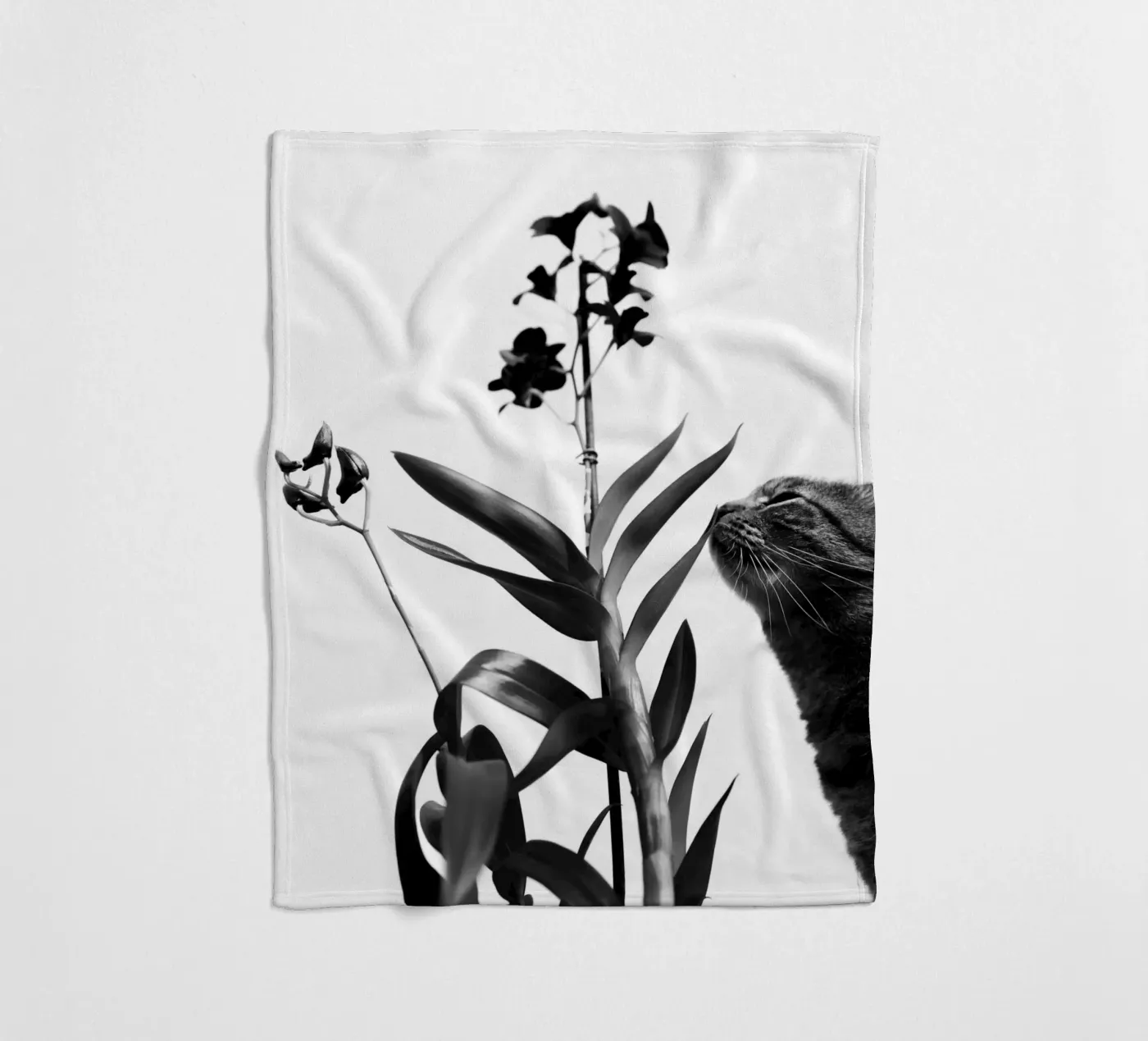 Empfindlich Fleecedecke von rafael campezato