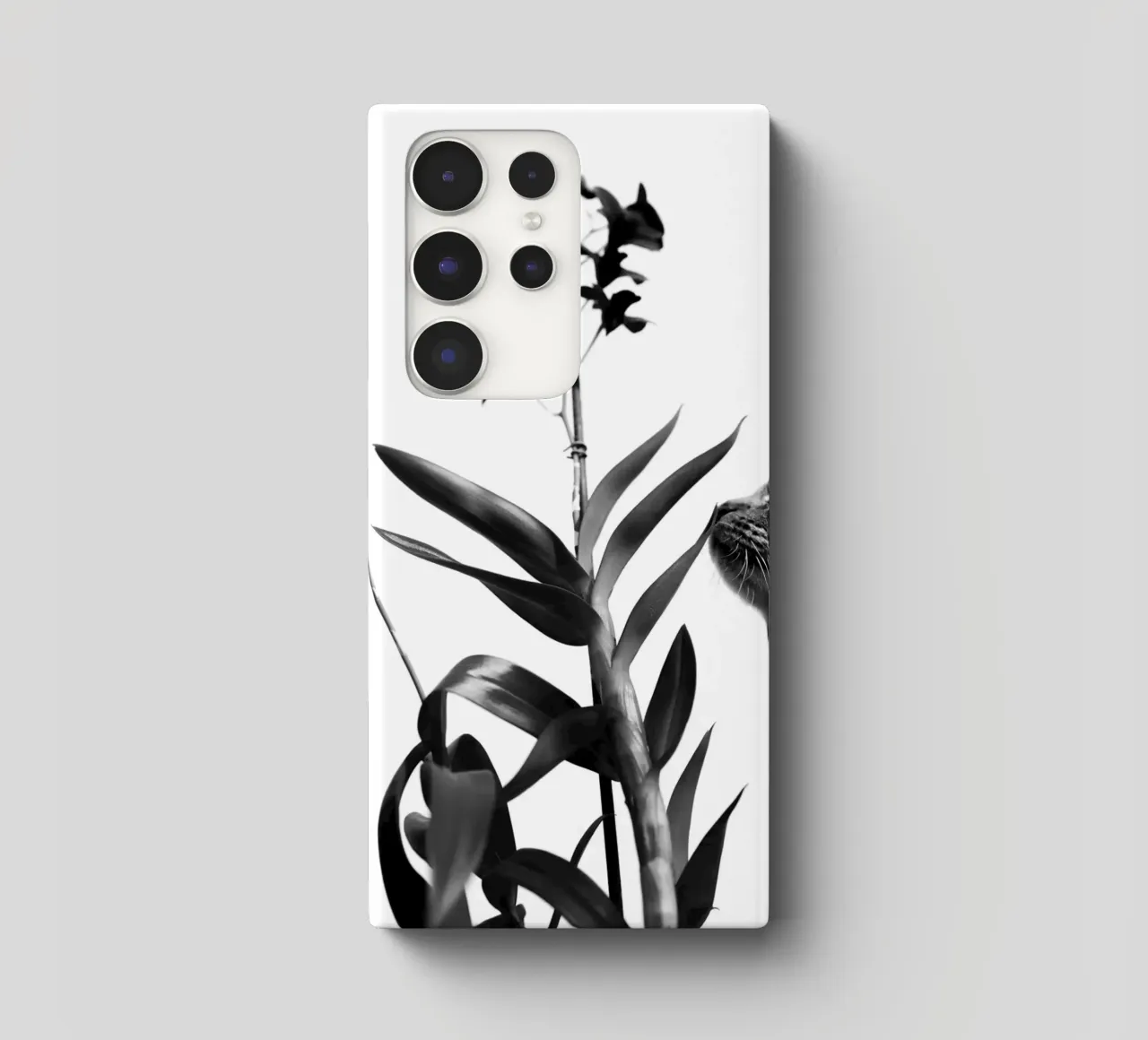 Sensible coque samsung de rafael campezato