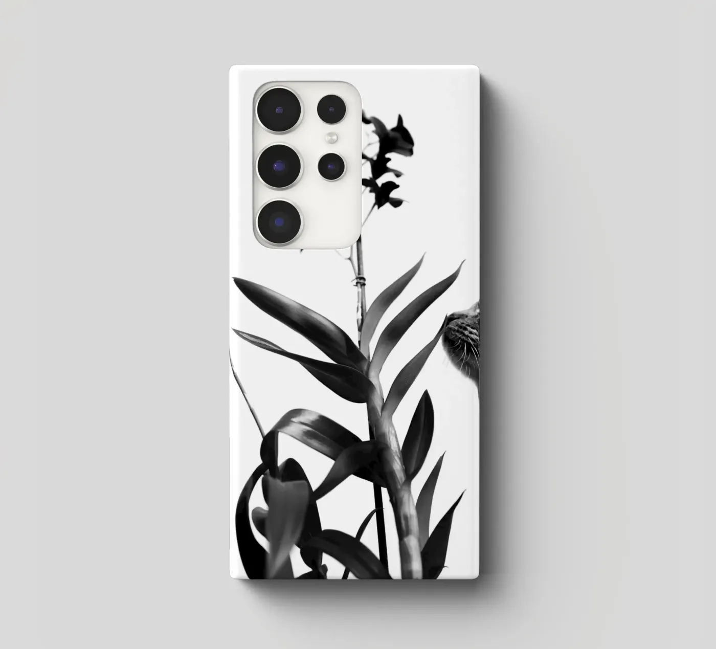 Gevoelig samsung hoesje van rafael campezato