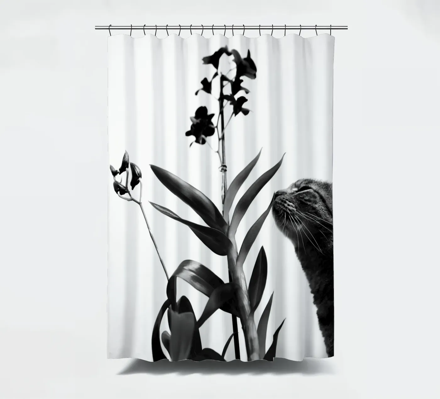 Sensitive shower curtain by rafael campezato