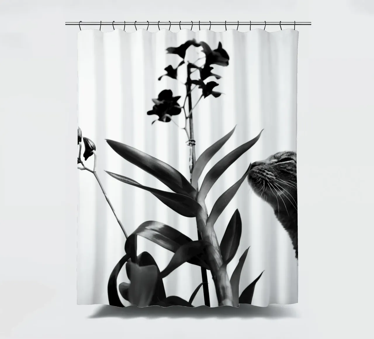 Gevoelig douchegordijn van rafael campezato