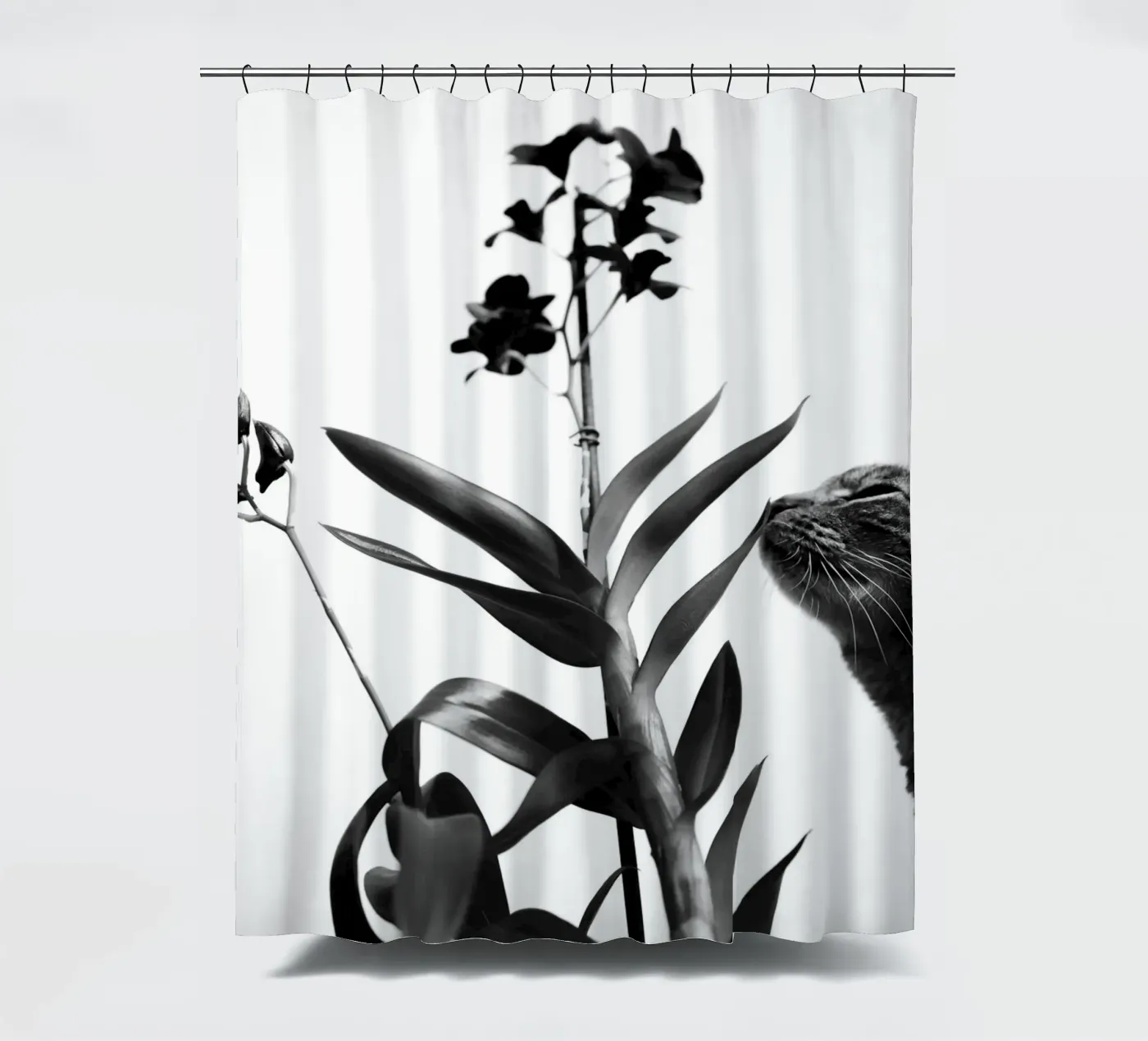 Sensitive rideau de douche de rafael campezato