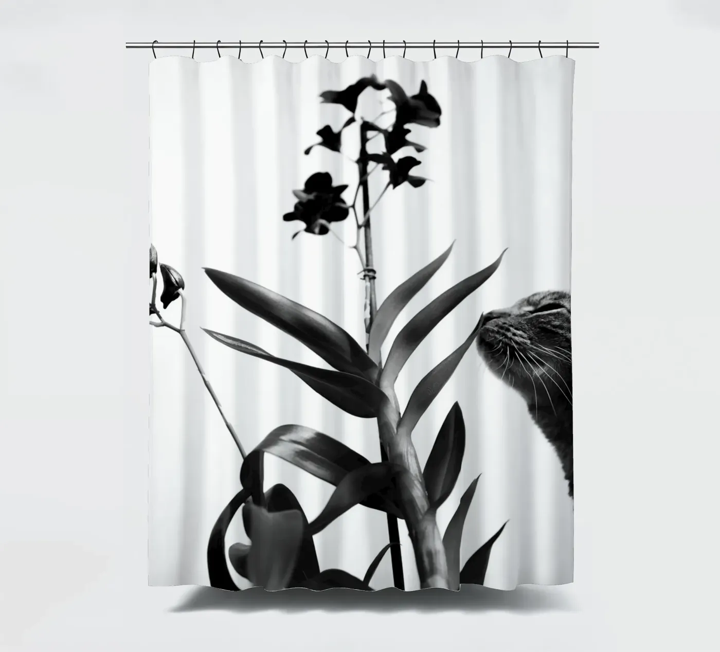 Sensitive shower curtain by rafael campezato