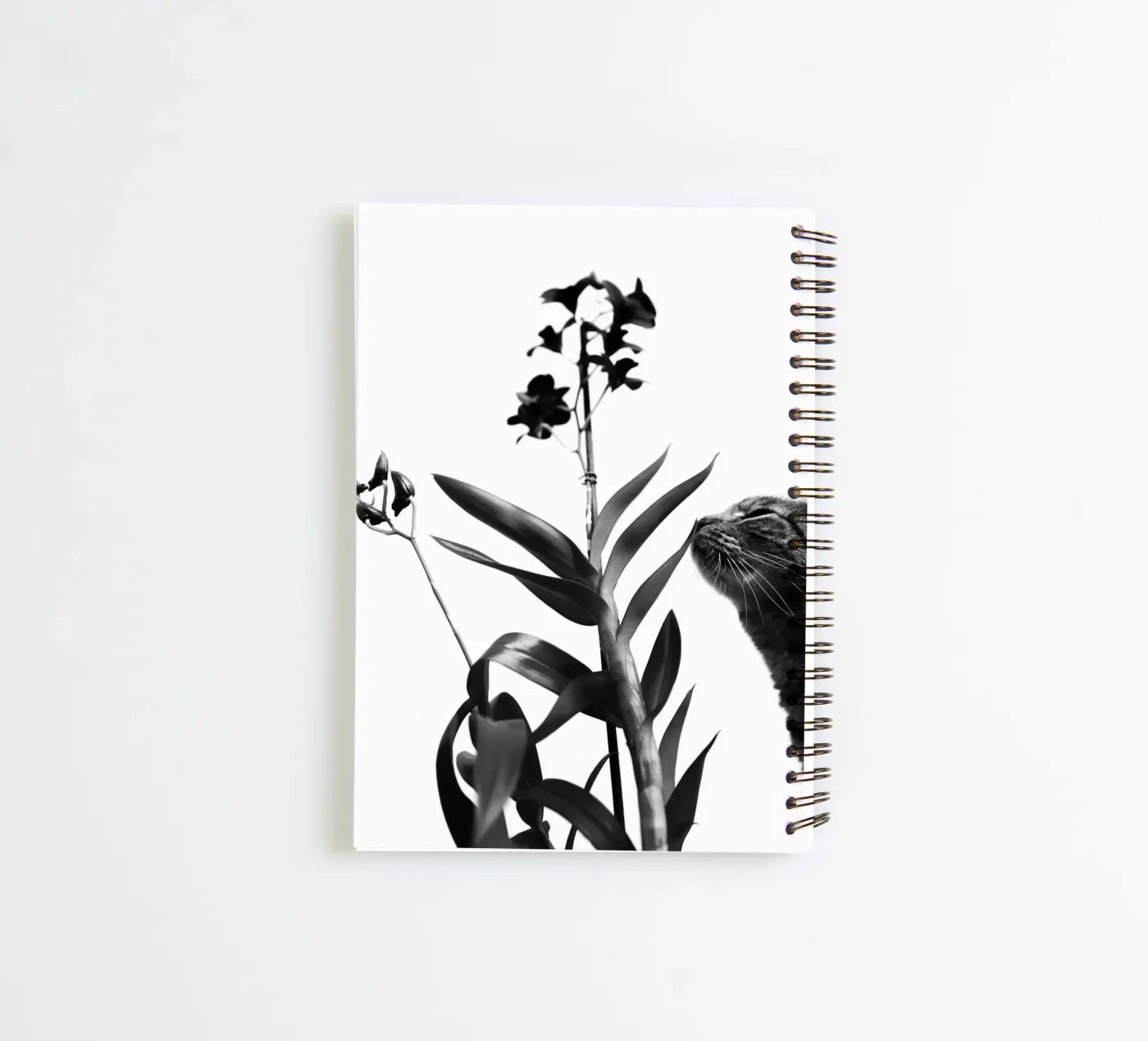 Sensitive spiral notebook by rafael campezato