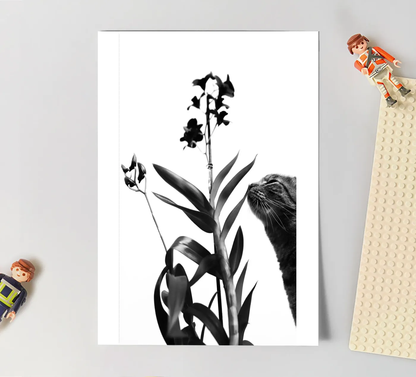 Sensitive planche autocollant de rafael campezato