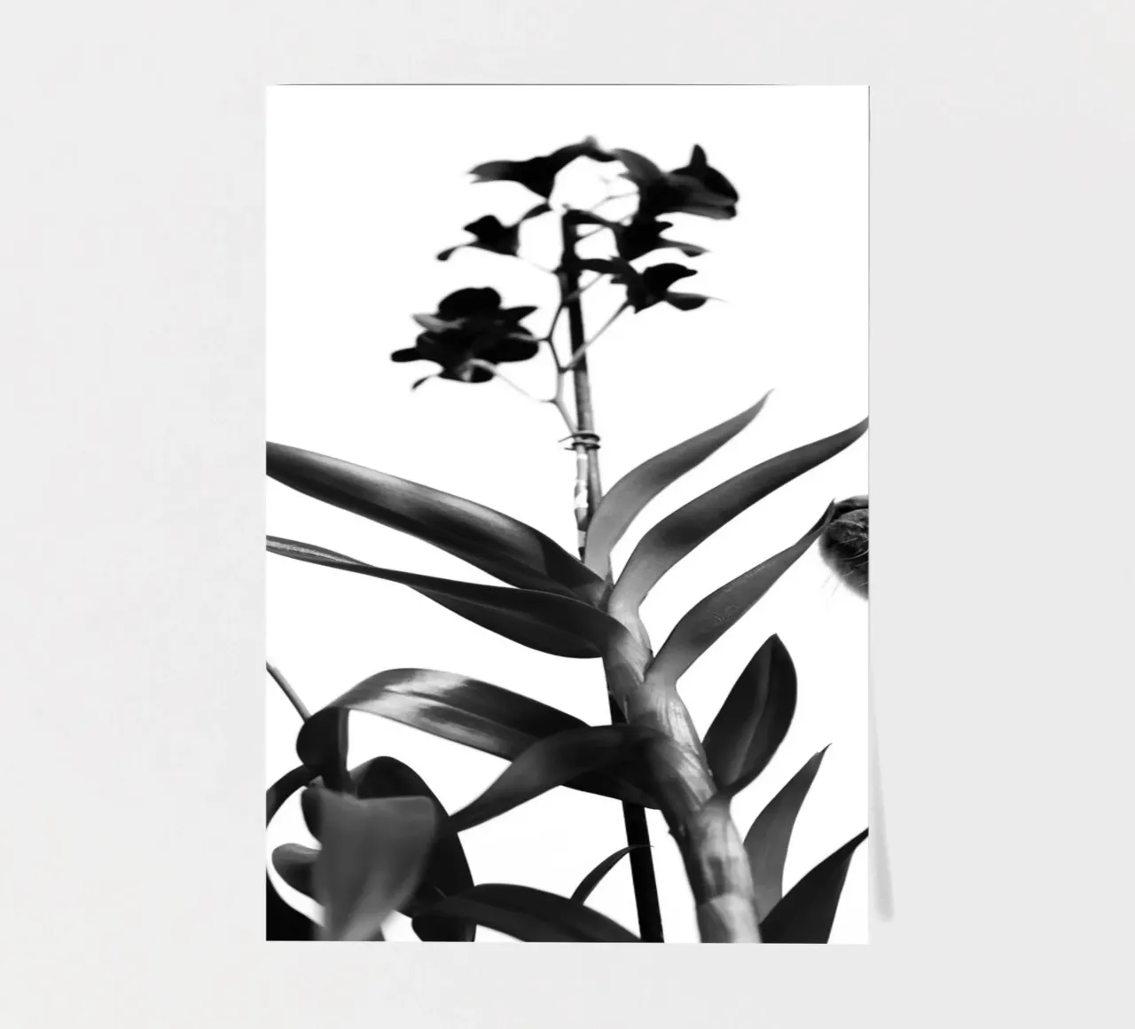 Sensitive sticker sheet by rafael campezato