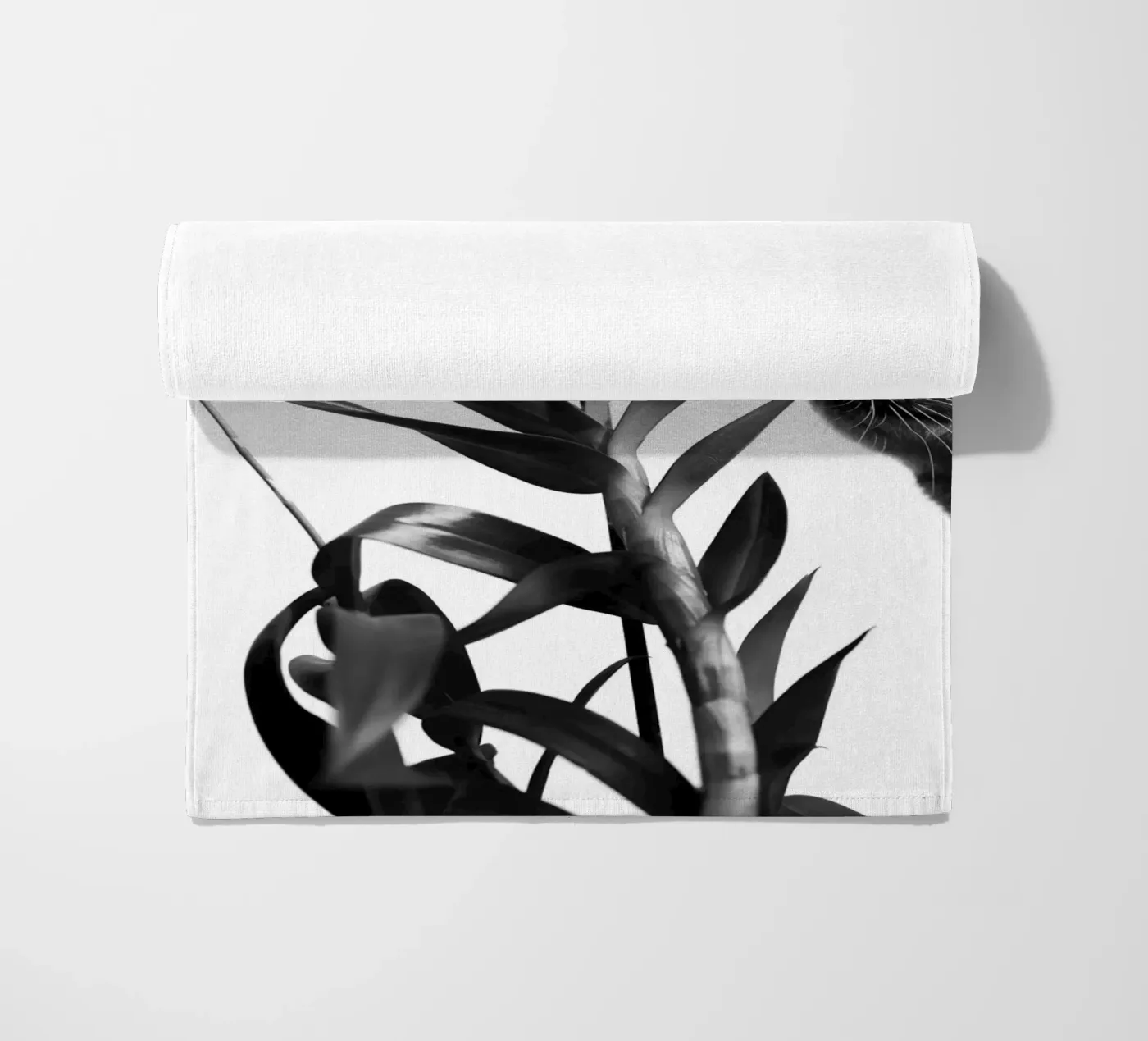 Empfindlich Strandtuch von rafael campezato