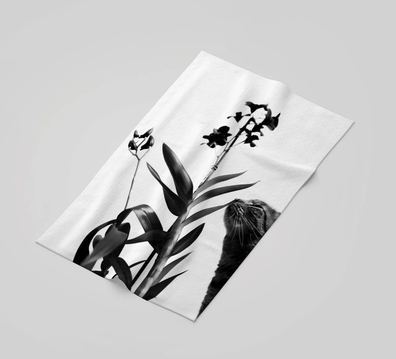 Sensitive strandhanddoek van rafael campezato