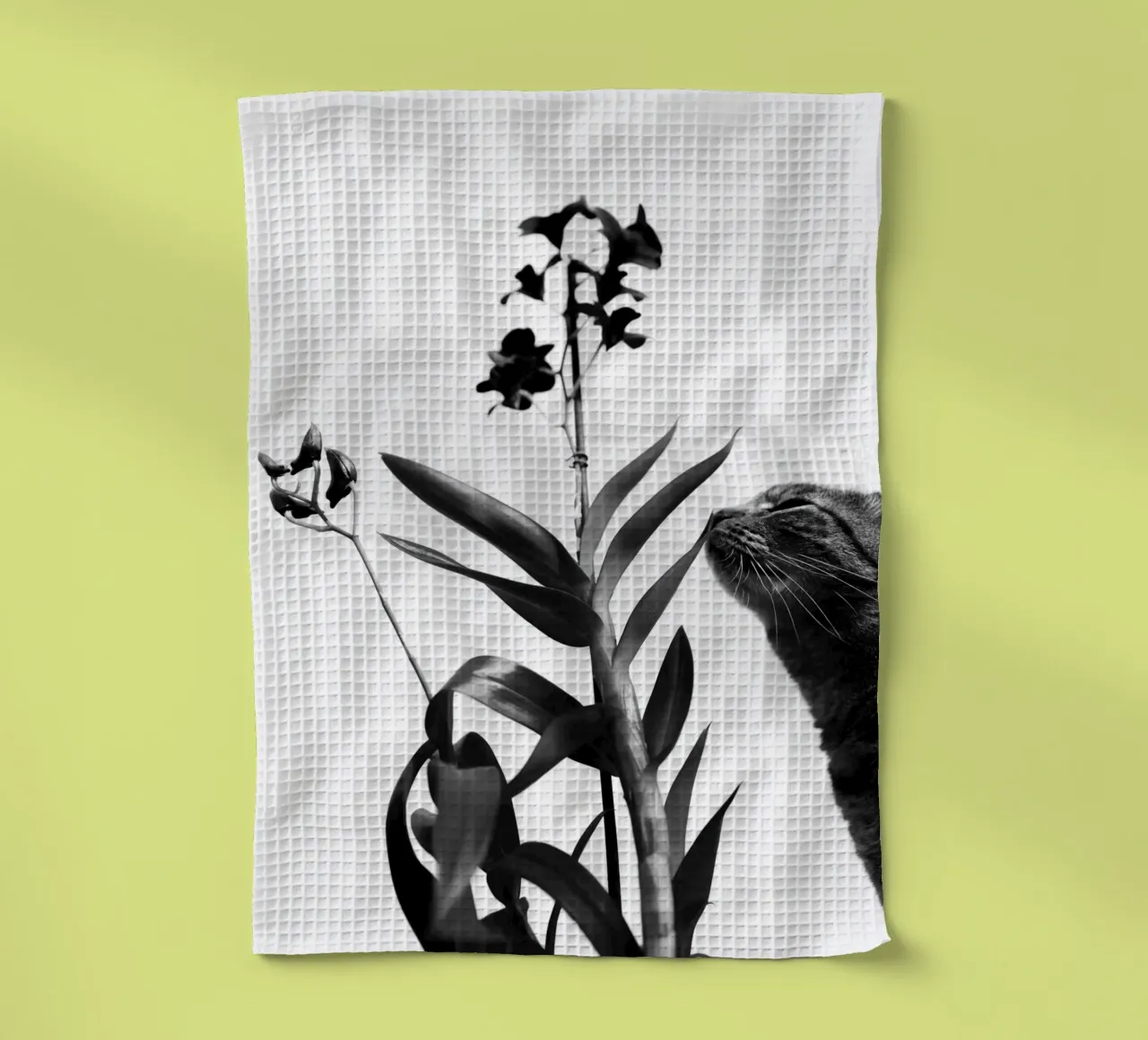 Sensitive tea towel by rafael campezato
