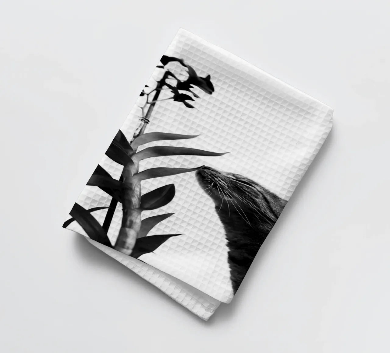 Sensitive tea towel by rafael campezato