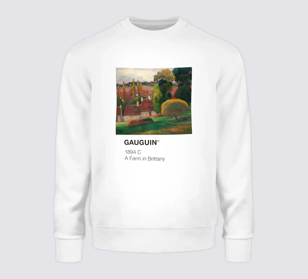 Pantone Gauguin felpa da Vintagrafica