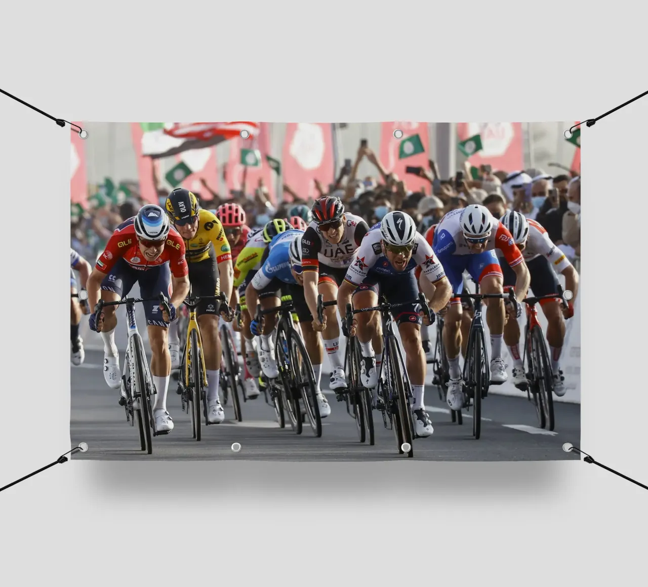 Mark Cavendish Ultimo Sprint Tdf 2021 telo in pvc da Goodshops