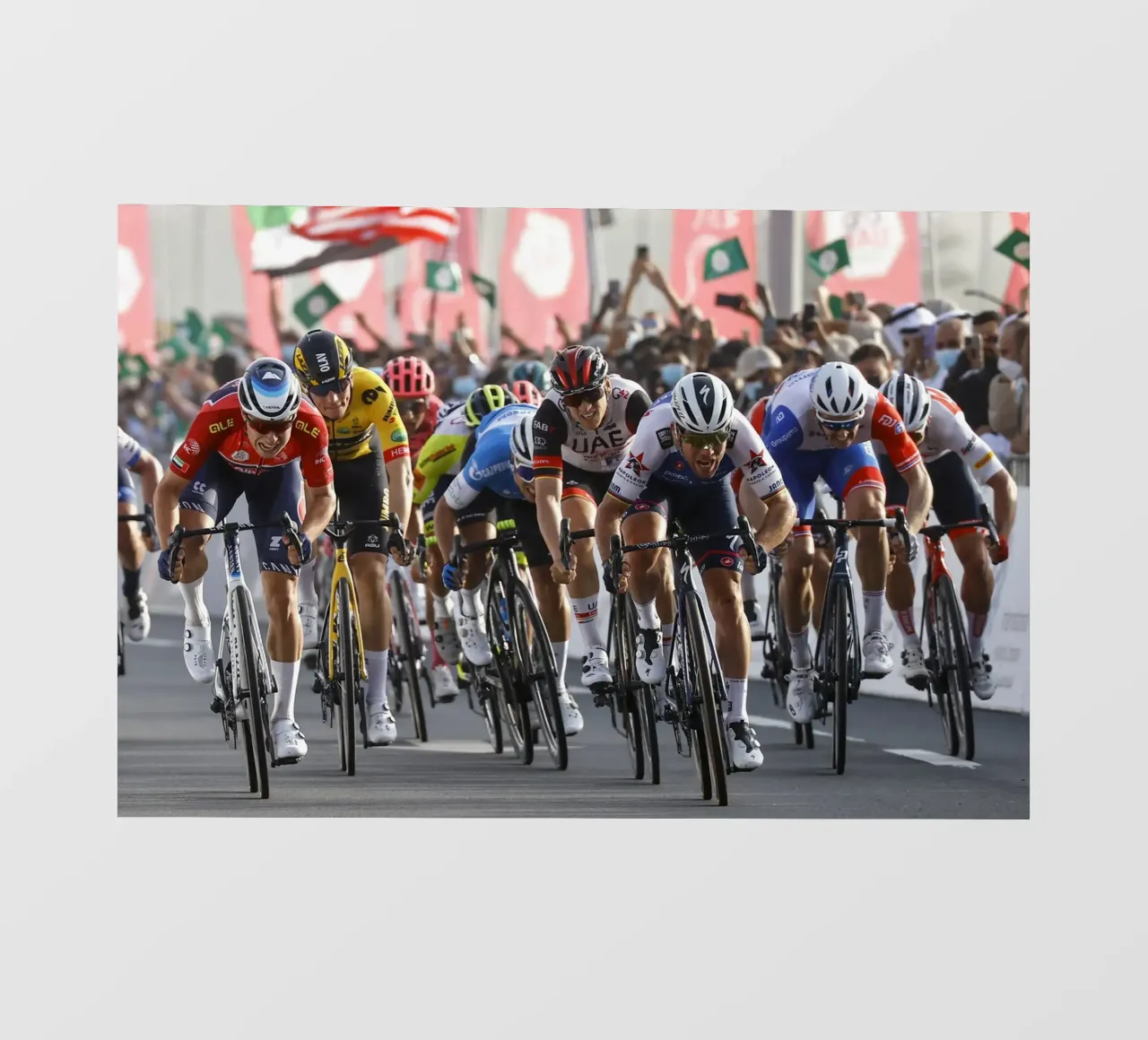Mark Cavendish Ultimo Sprint Tdf 2021 telo in pvc da Goodshops