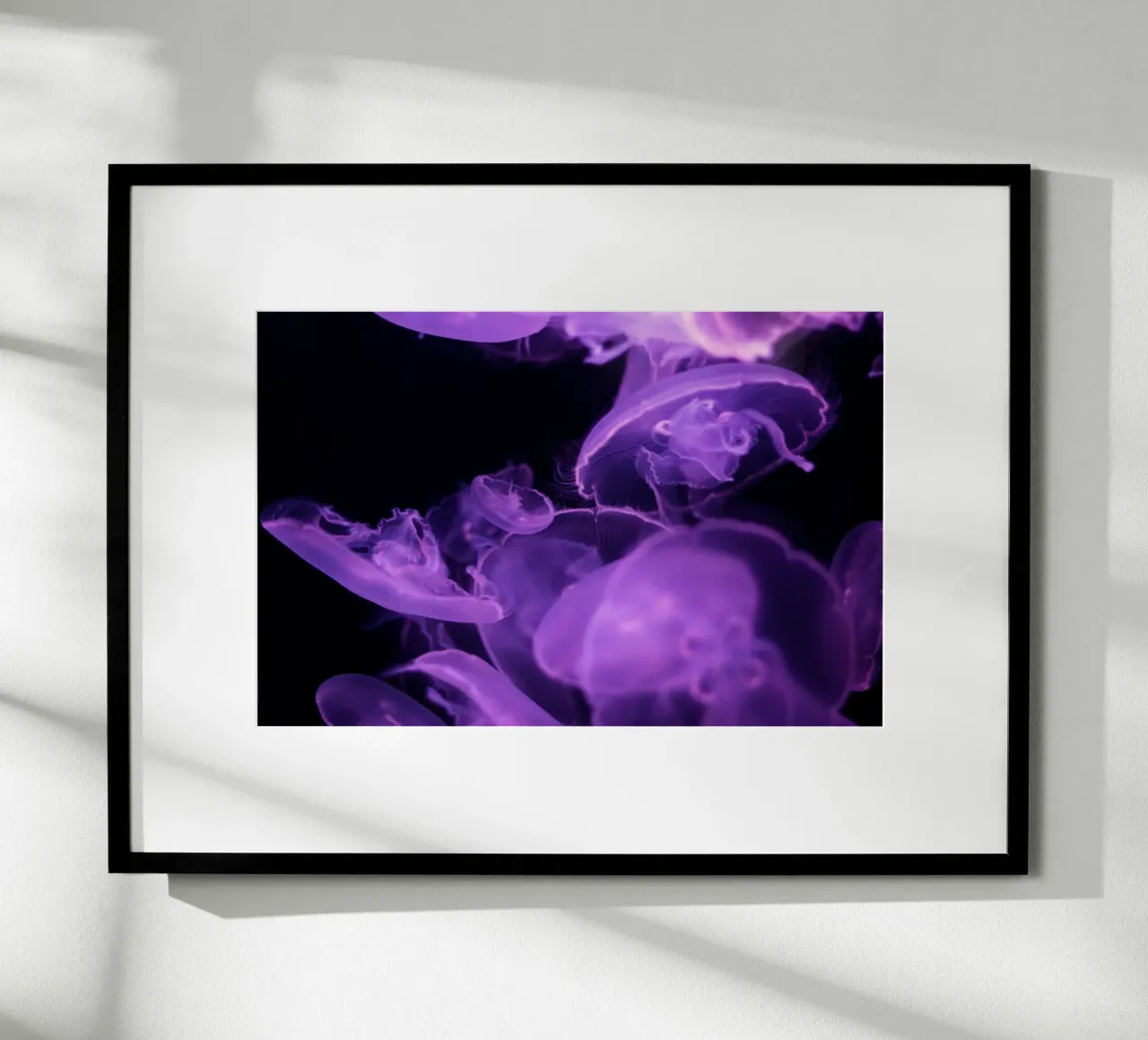 meduse vita marina poster con telaio in legno da Earthly Visions