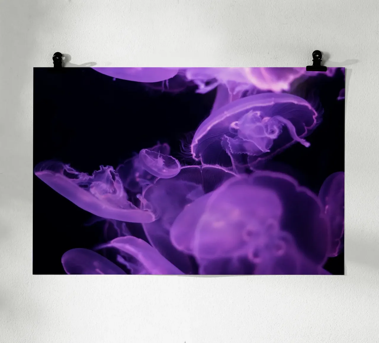 meduse vita marina poster con telaio in legno da Earthly Visions