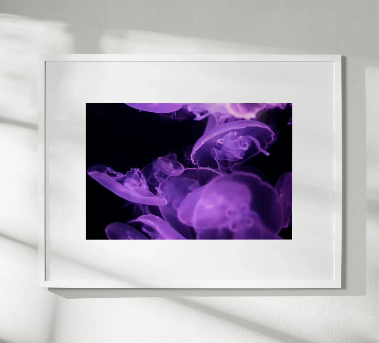 meduse vita marina poster con telaio in legno da Earthly Visions