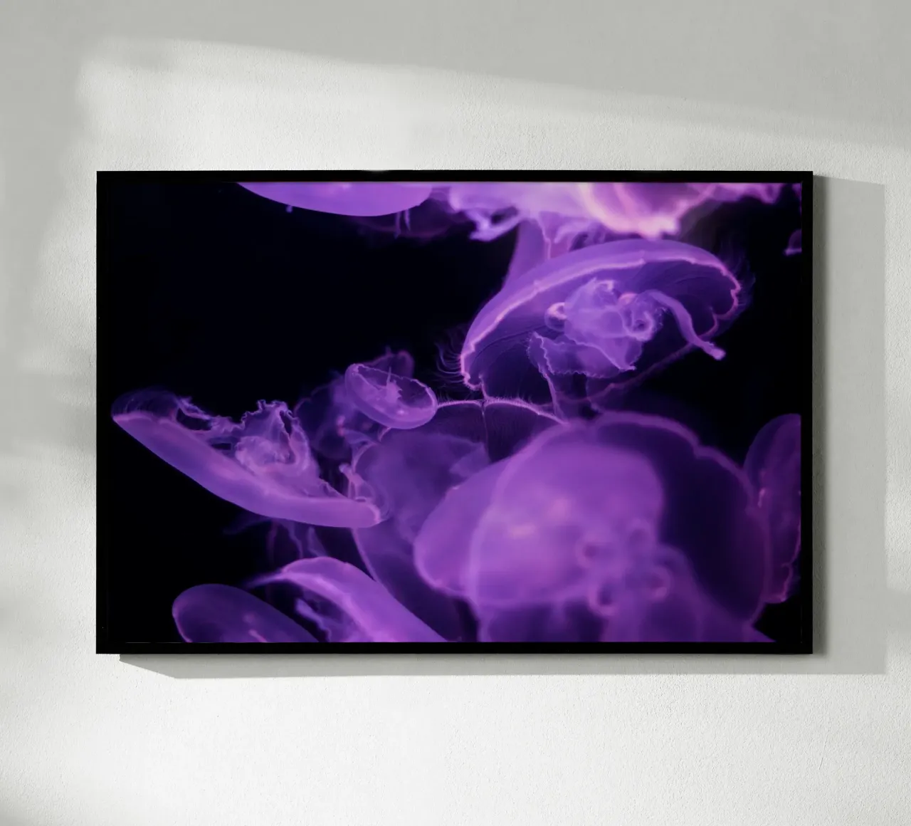 meduse vita marina poster con telaio in legno da Earthly Visions