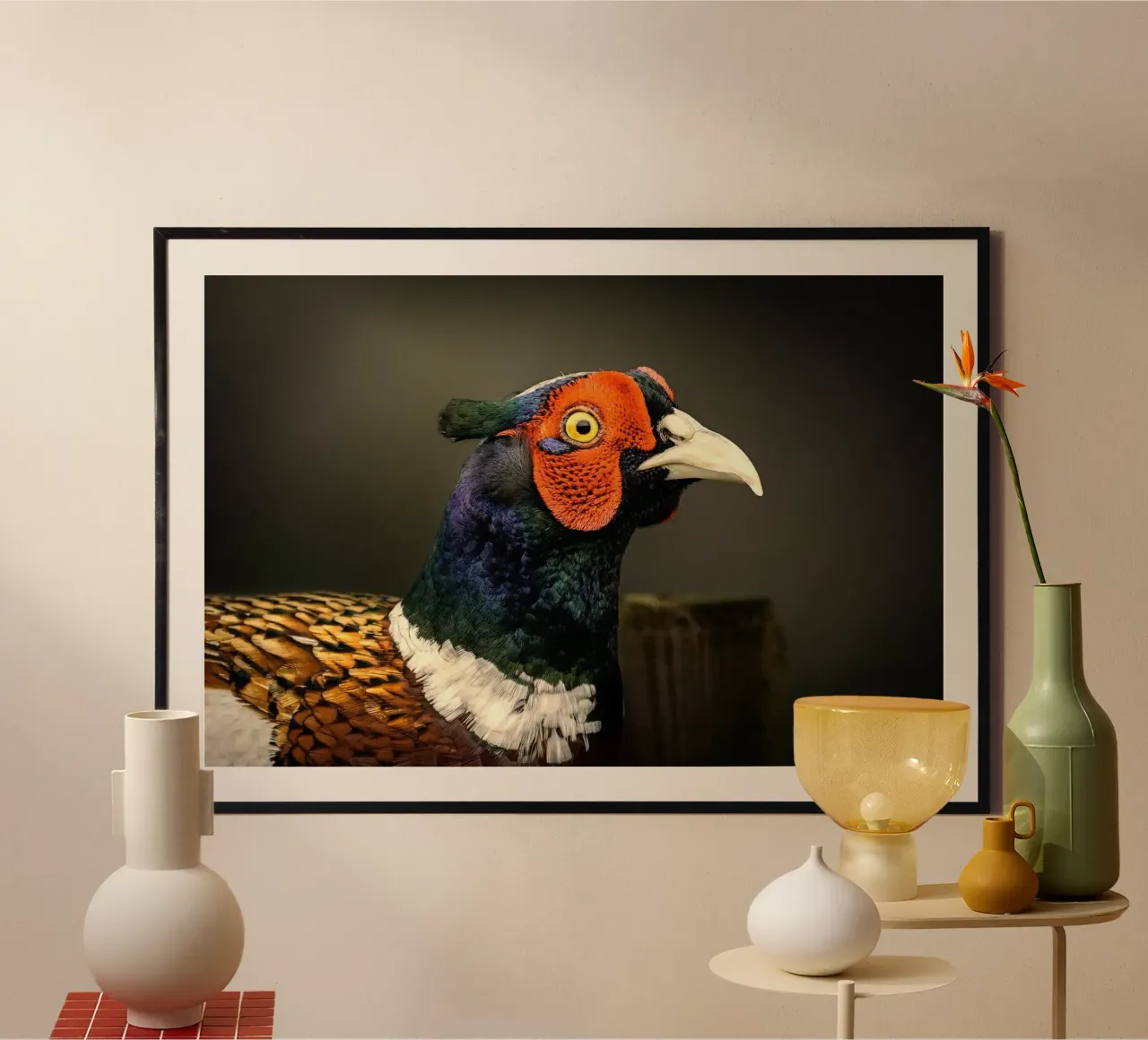 fagiano uccello poster da Earthly Visions