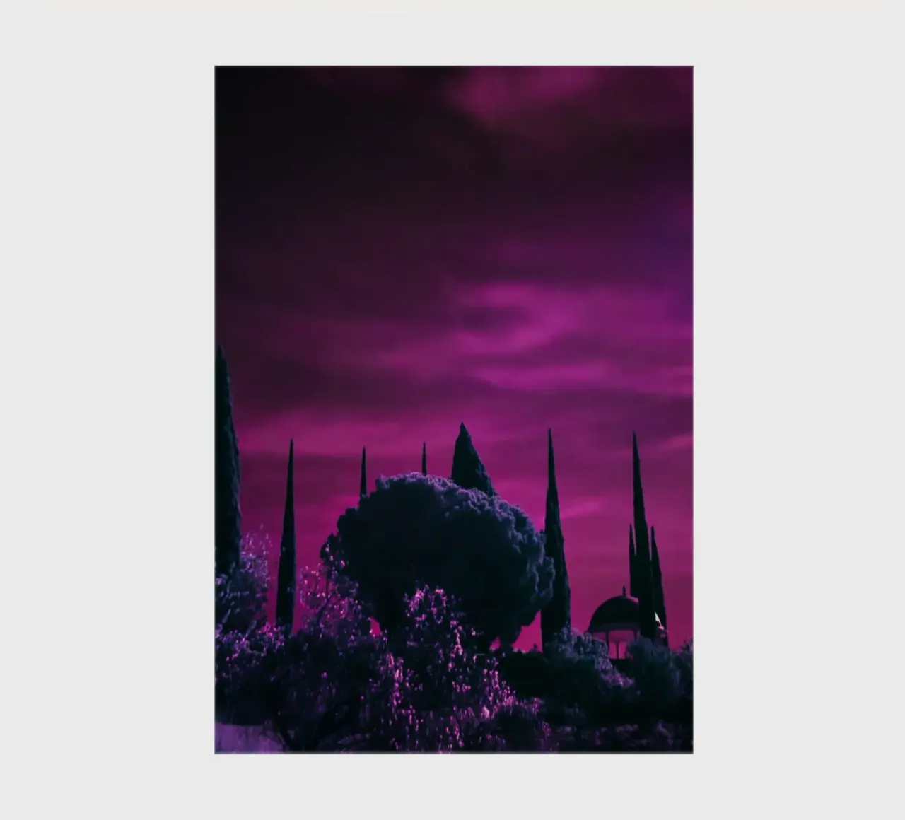 cypress trees purple sky notebook by Earthly Visions