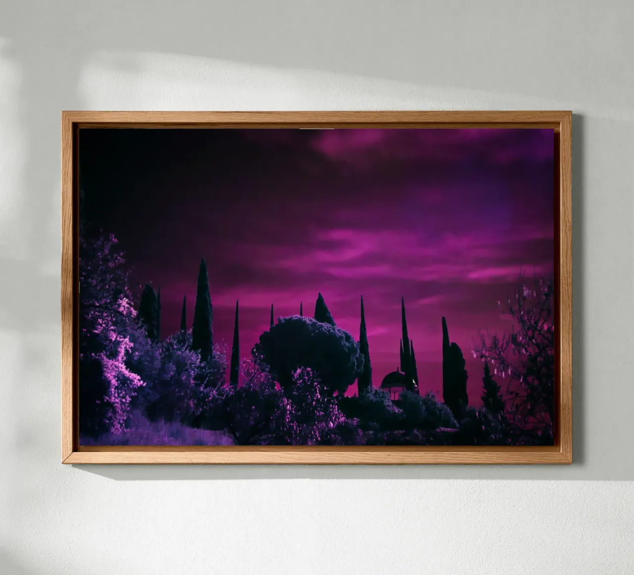 cypress trees purple sky canvas with Floater frame by Earthly Visions