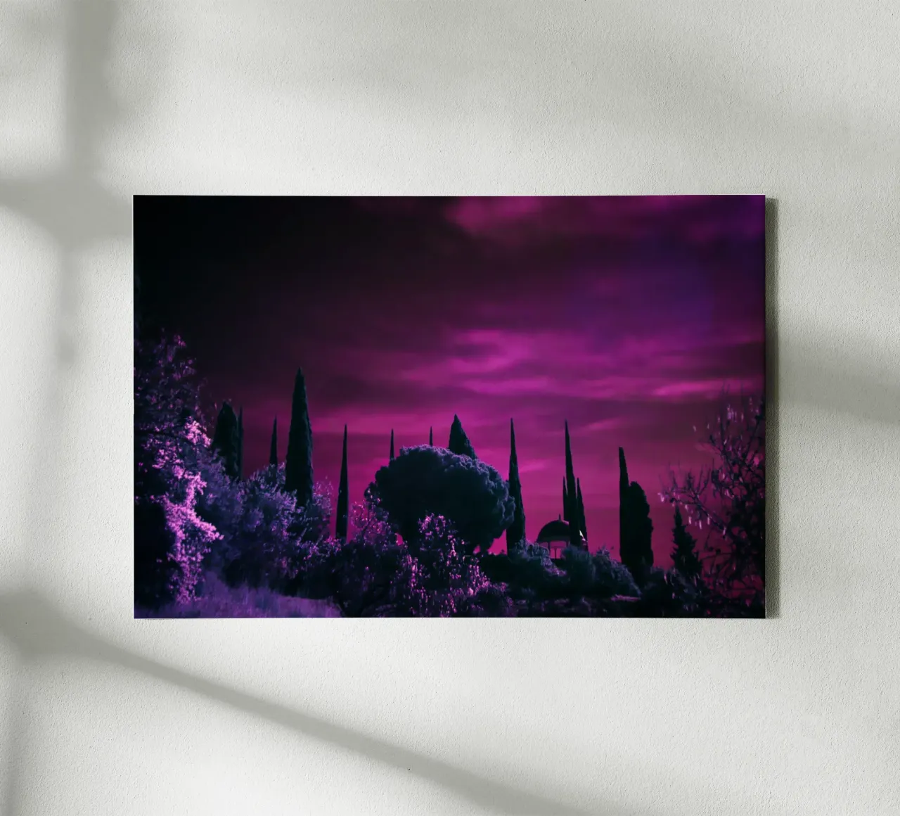 cypress trees purple sky canvas with Floater frame by Earthly Visions