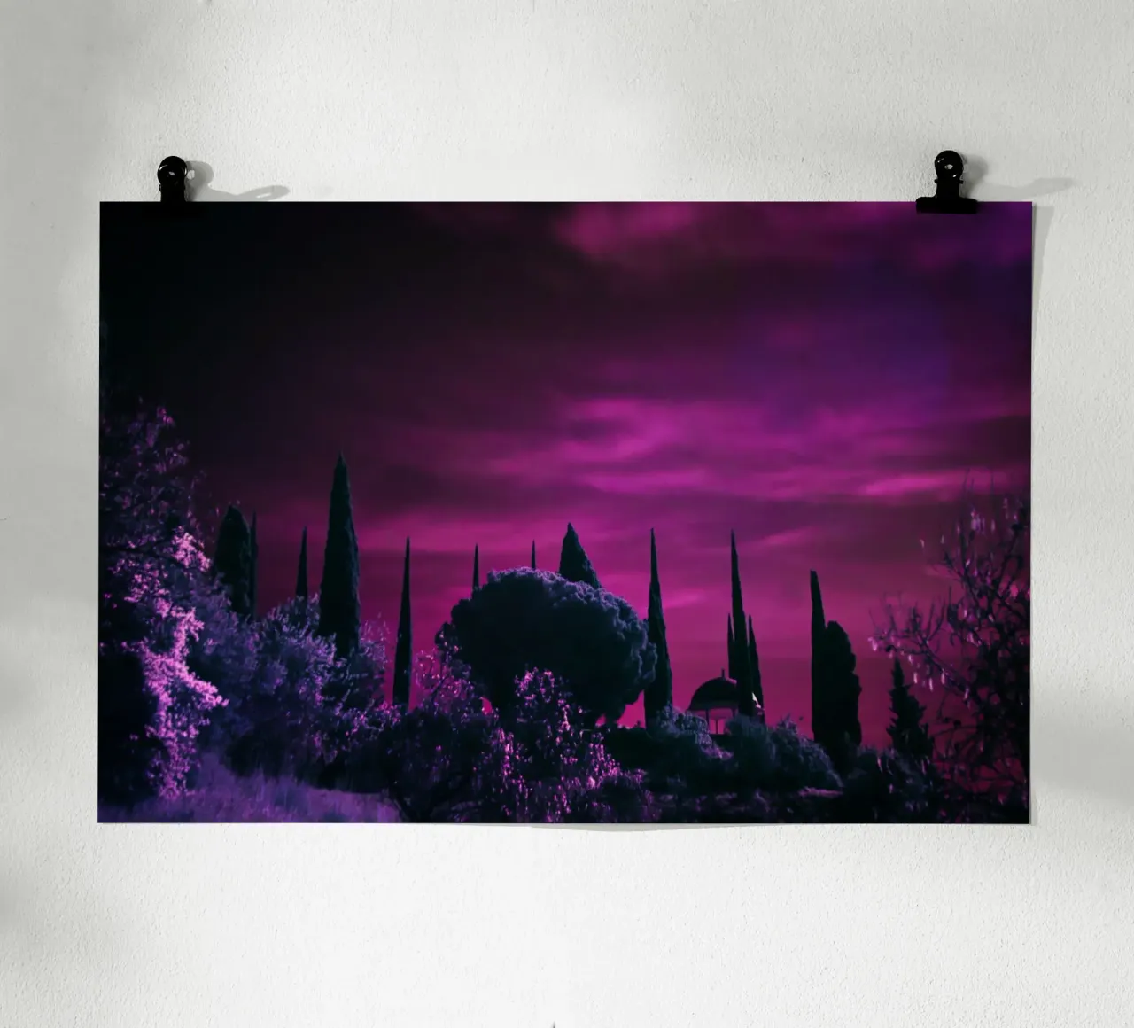 cipressi cielo viola poster con telaio in alluminio da Earthly Visions