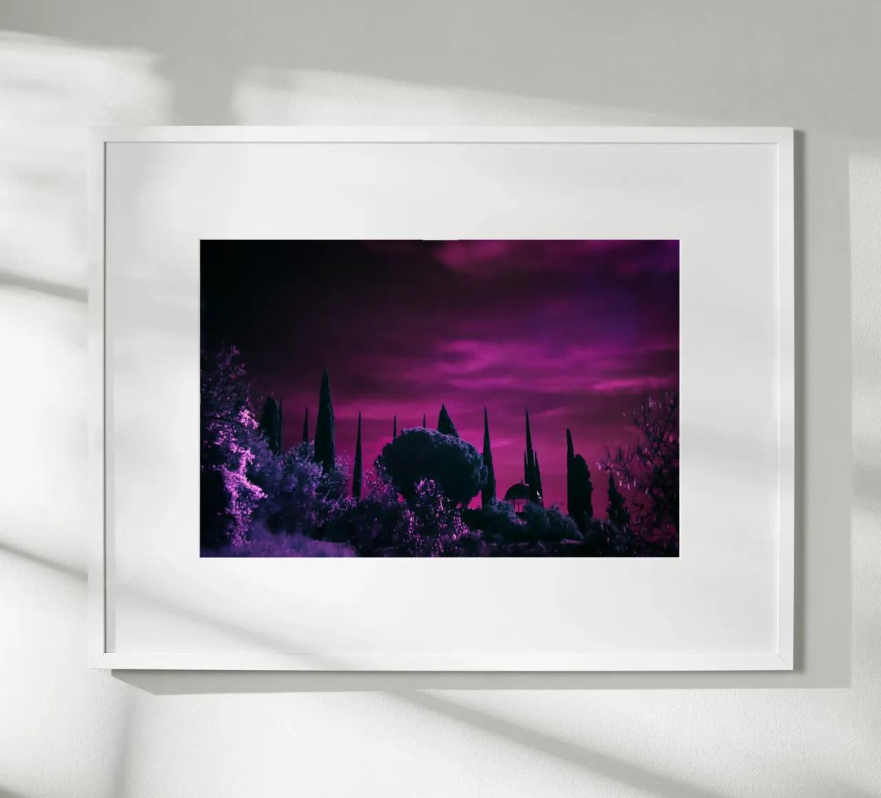 cipressi cielo viola poster con telaio in alluminio da Earthly Visions