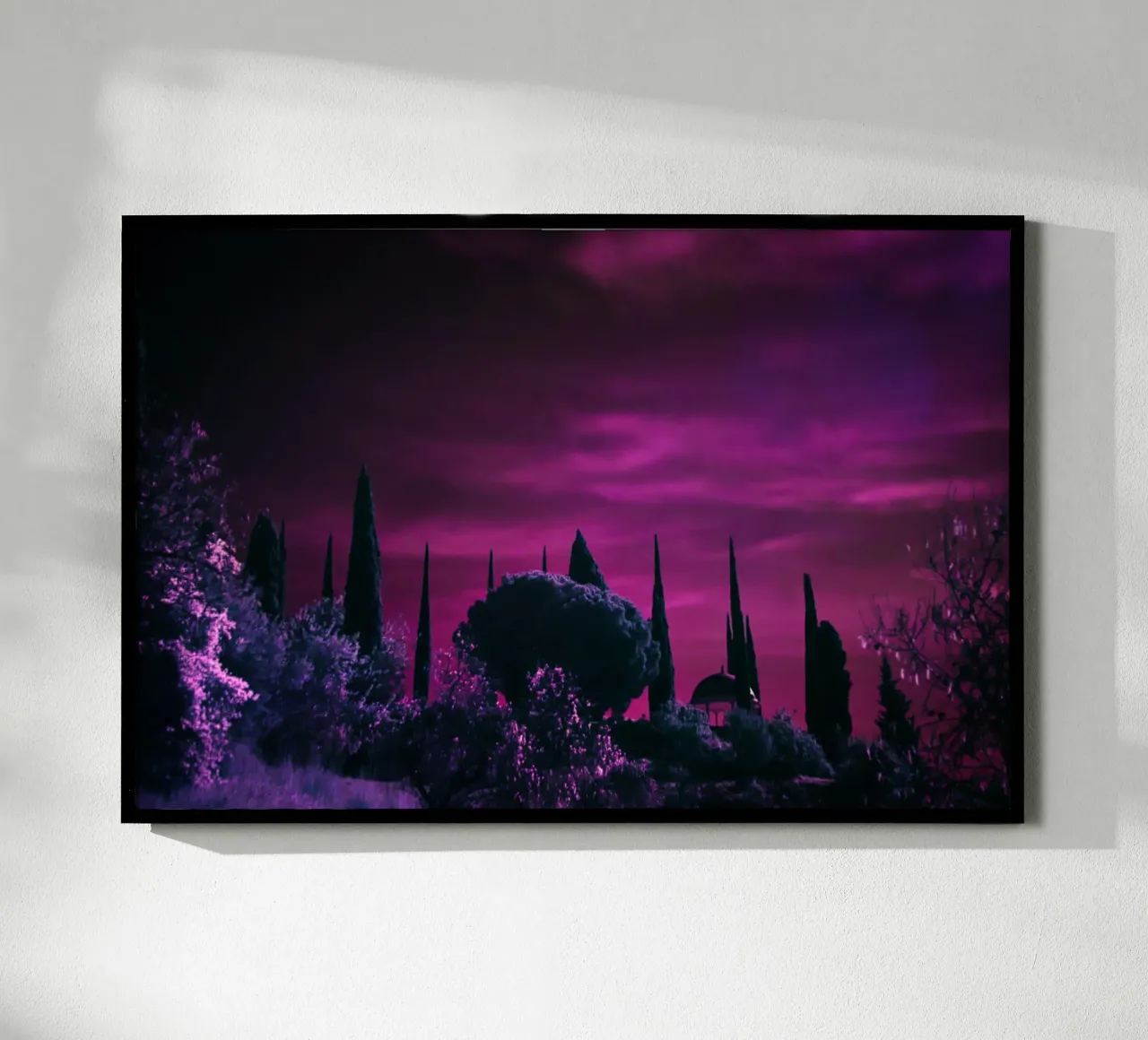 cipressi cielo viola poster con telaio in alluminio da Earthly Visions
