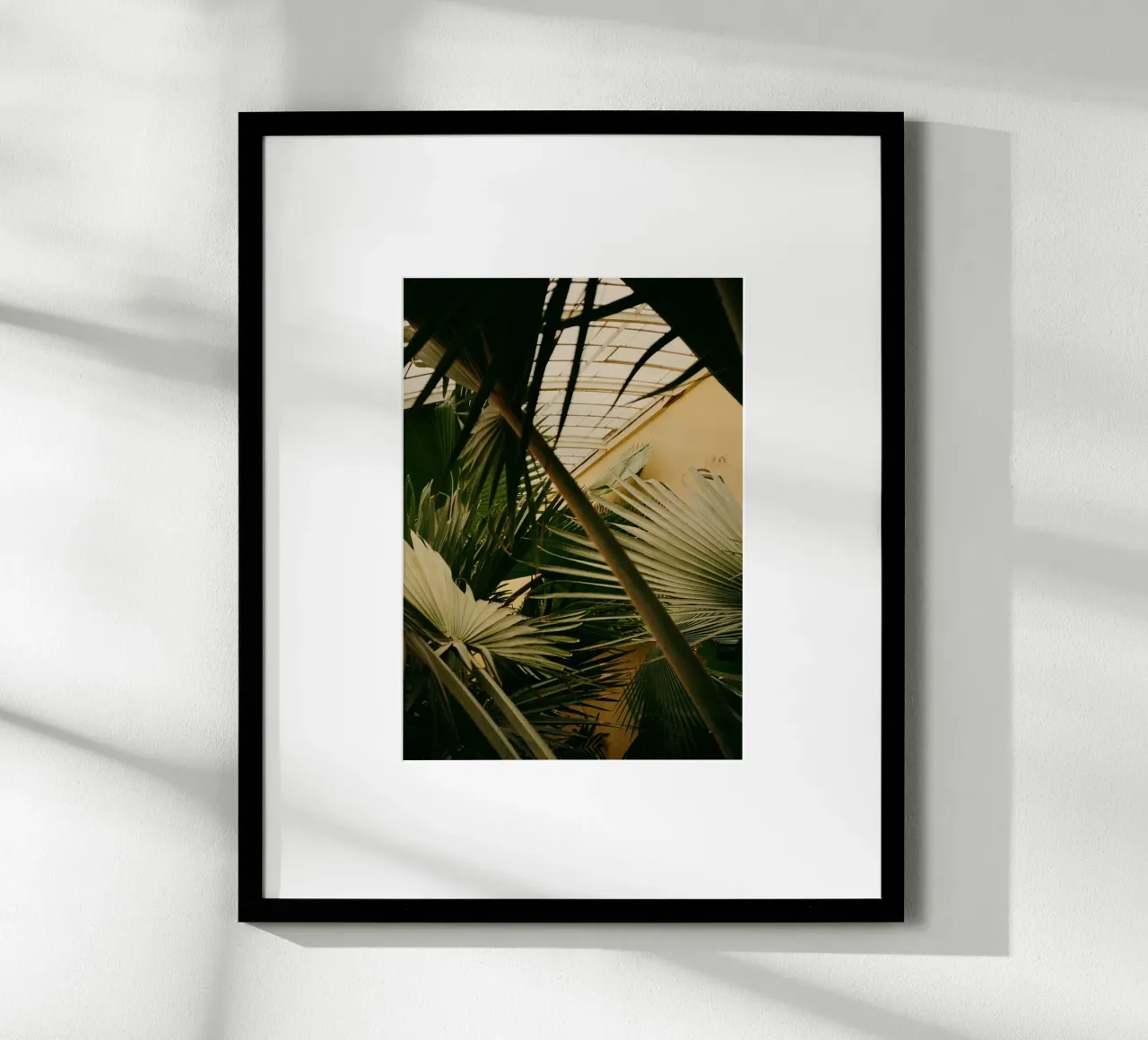 foglie di palma verde poster con telaio in alluminio da Earthly Visions
