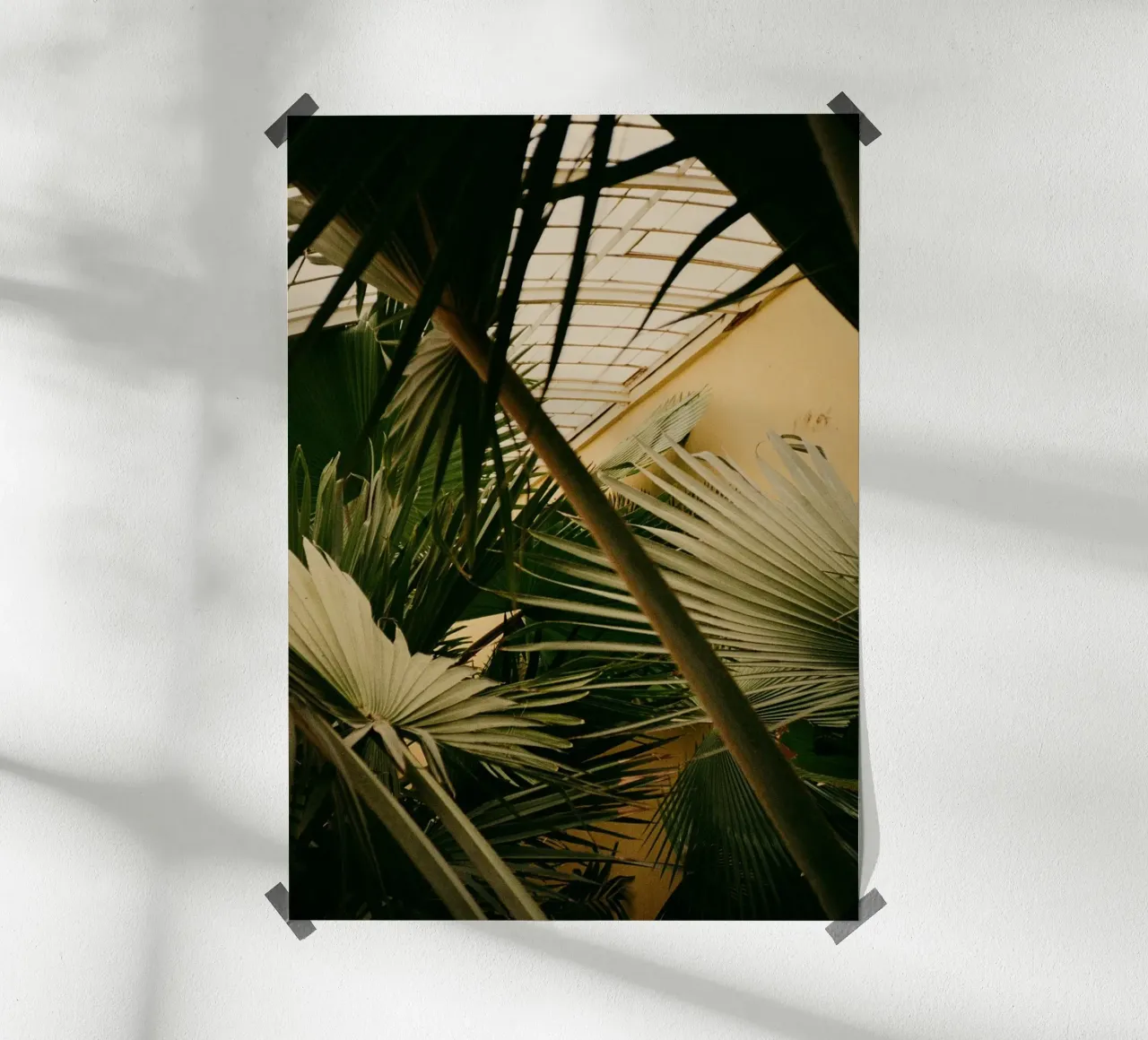 foglie di palma verde poster con telaio in alluminio da Earthly Visions