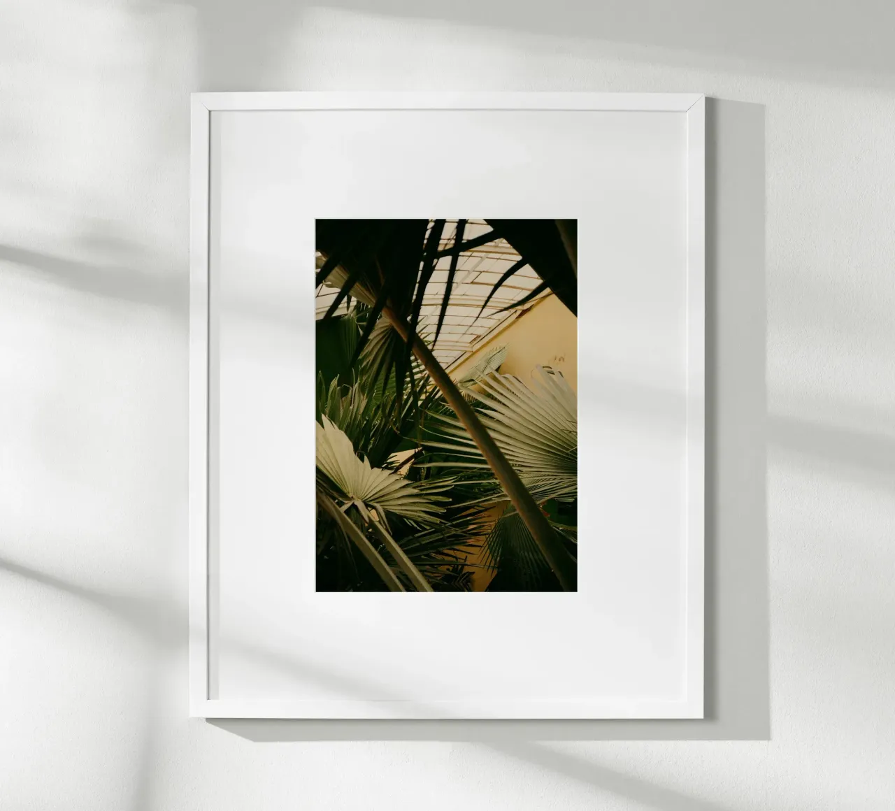 foglie di palma verde poster con telaio in alluminio da Earthly Visions