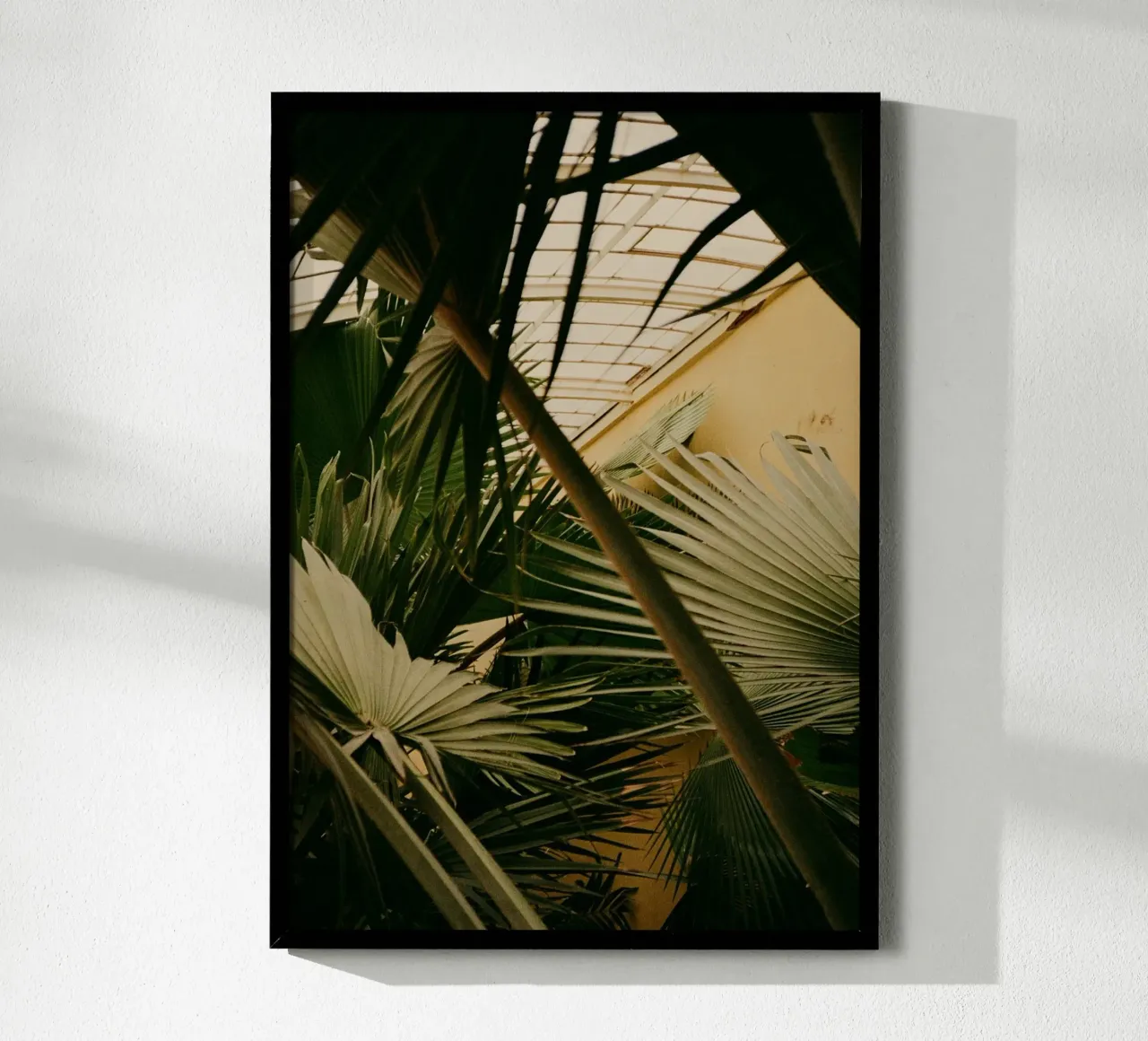 foglie di palma verde poster con telaio in alluminio da Earthly Visions