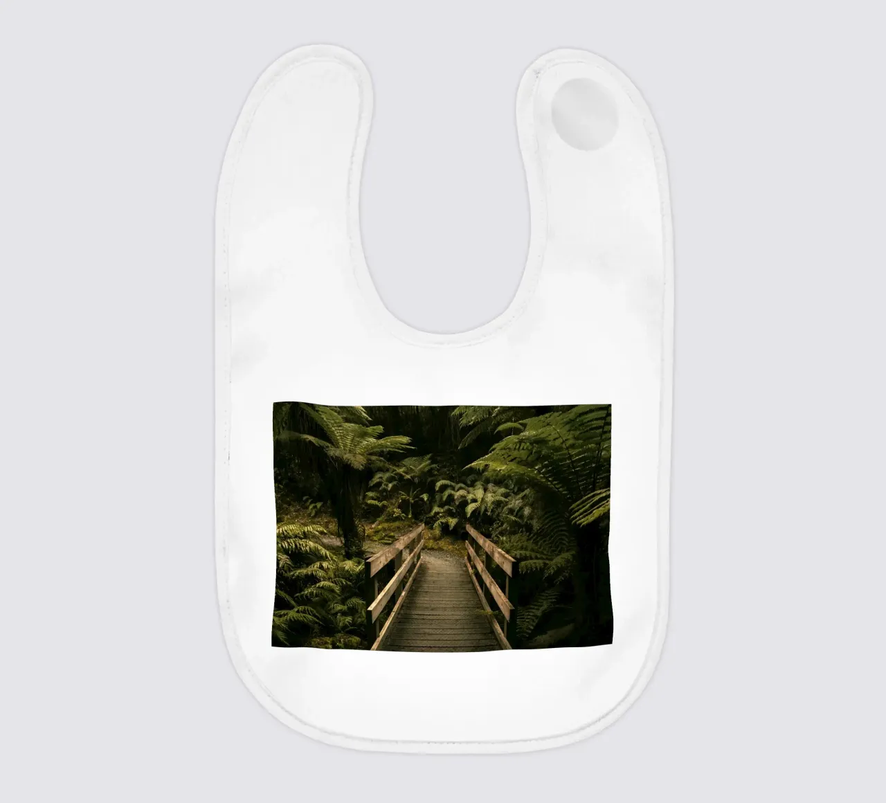 foresta a ponte bavaglino da Earthly Visions