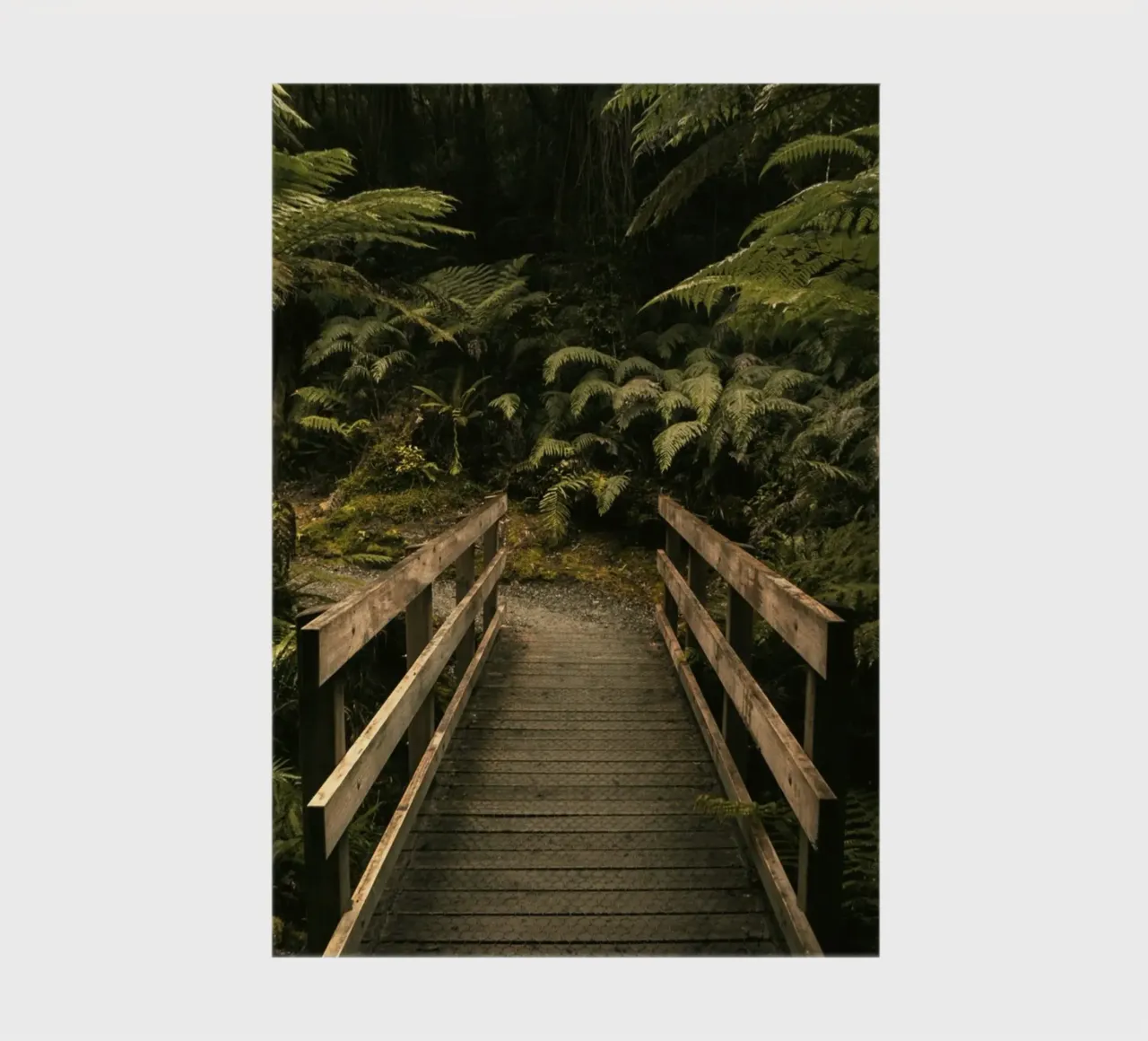 bridge forest notebook by Earthly Visions