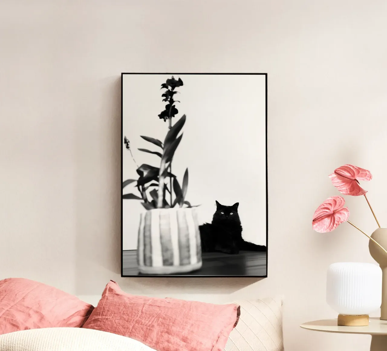 Black Cat plexiglass da rafael campezato