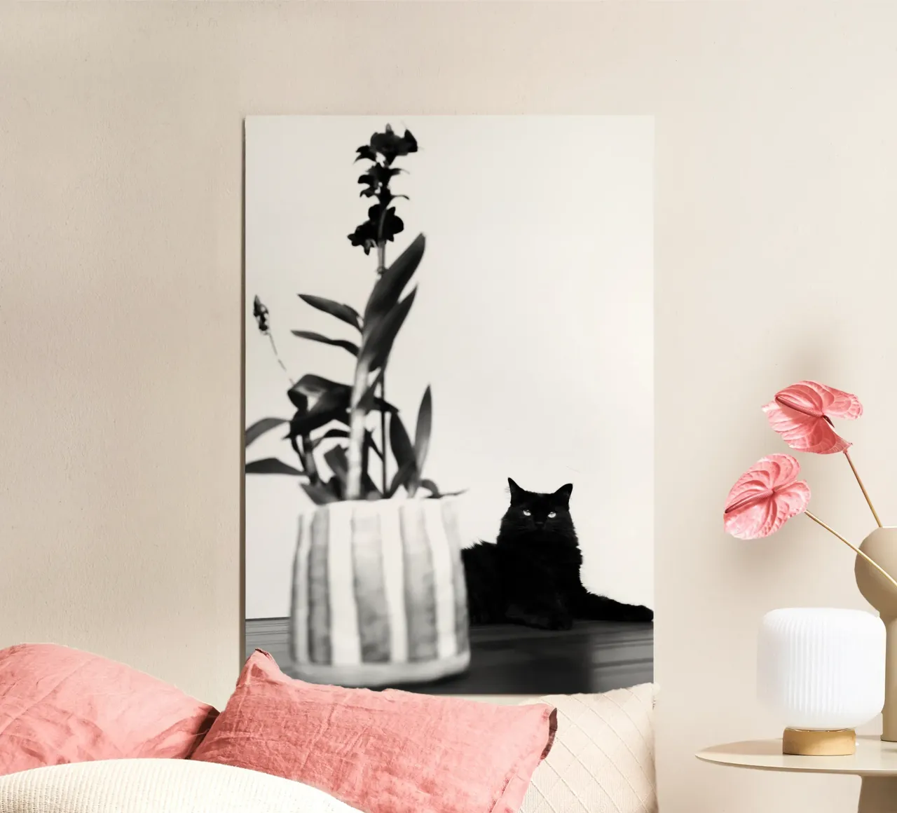 Black Cat poster da rafael campezato