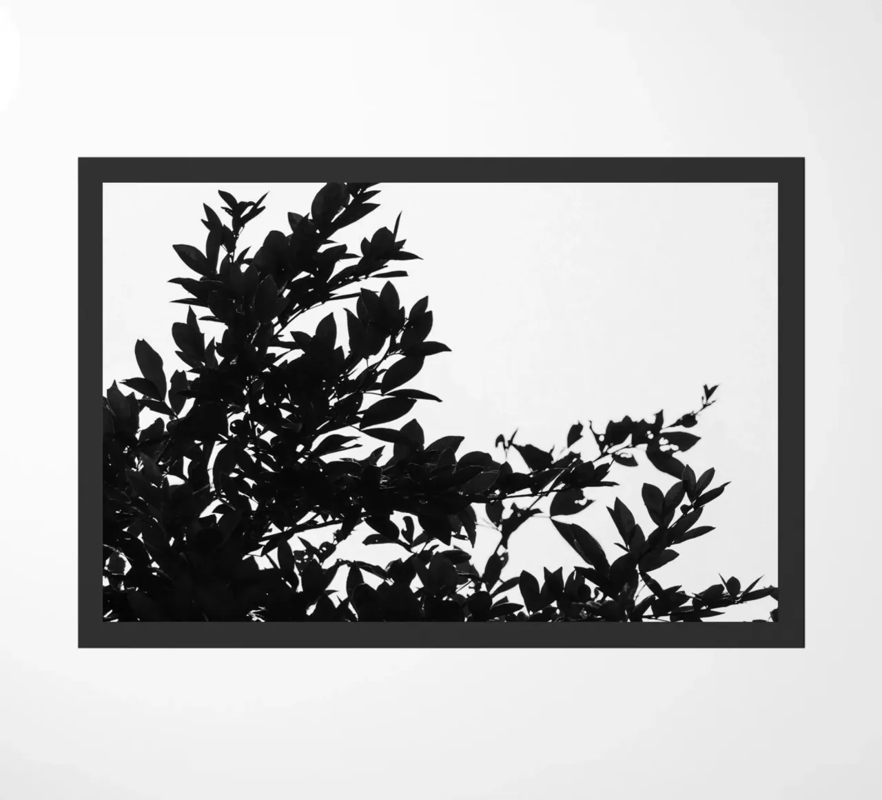 Days #2 doormat by rafael campezato