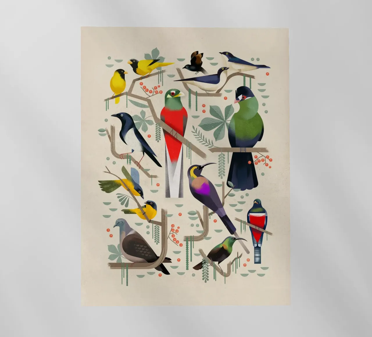 Uccelli pellicola backlit da Dieter Braun