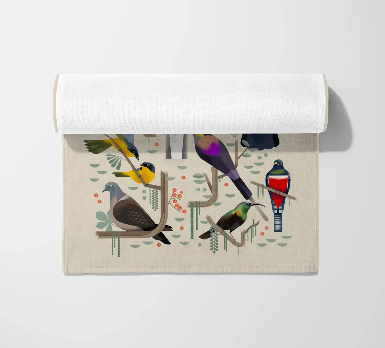 Uccelli telo mare da Dieter Braun