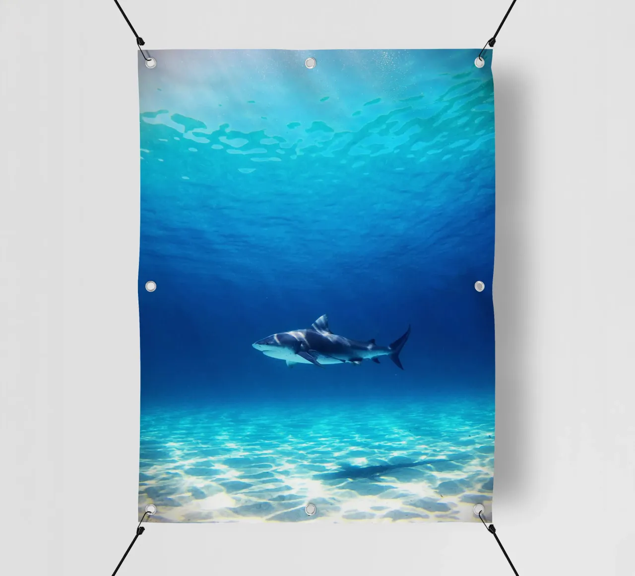 Predatore oceanico telo in pvc da Nature's Palette