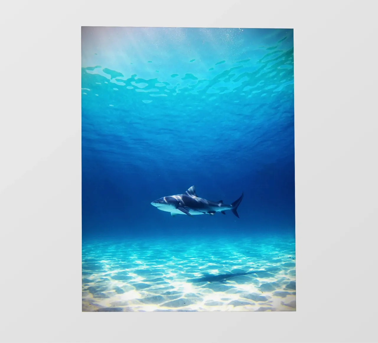 Predatore oceanico telo in pvc da Nature's Palette