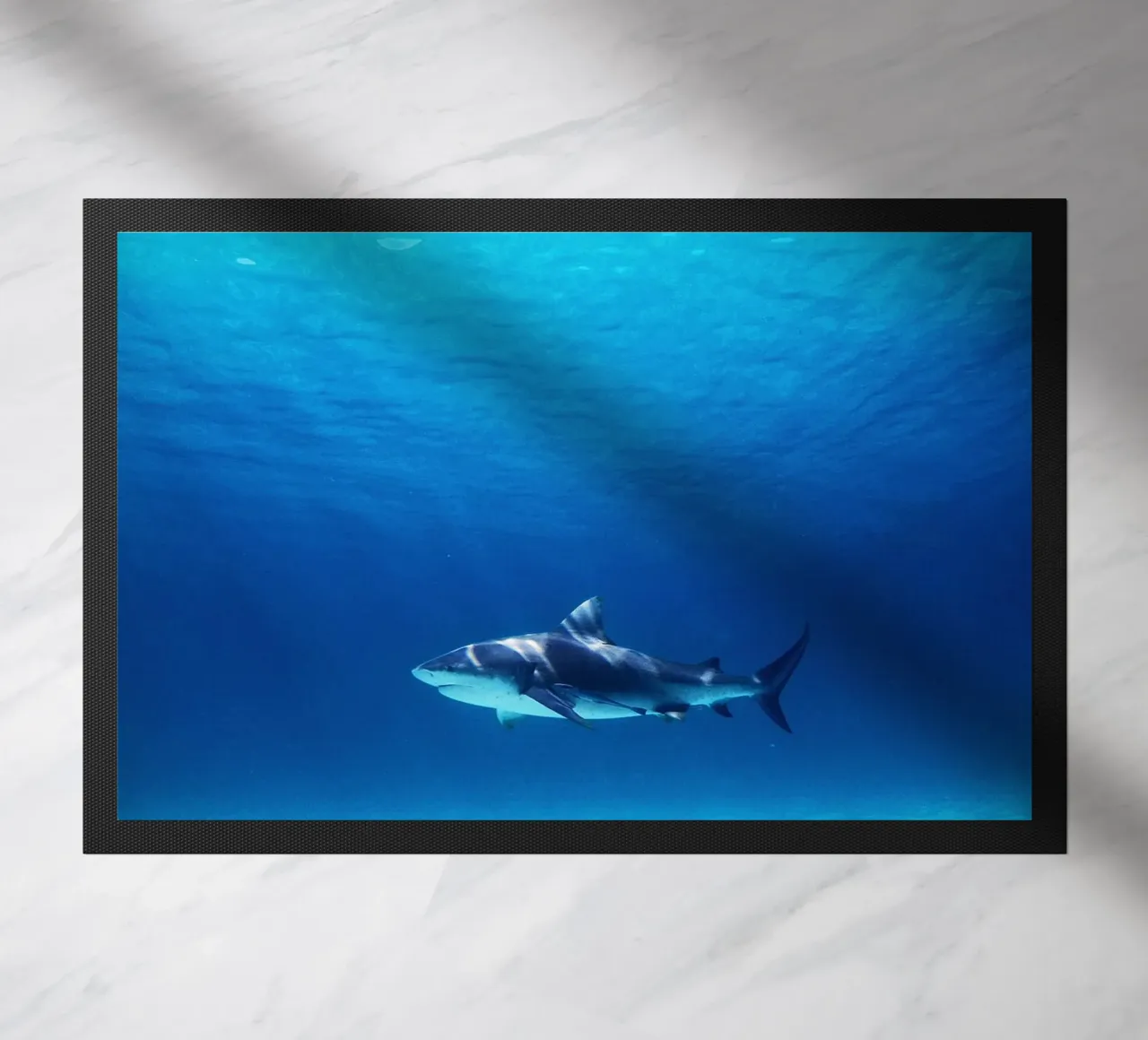 Predatore oceanico zerbino da Nature's Palette