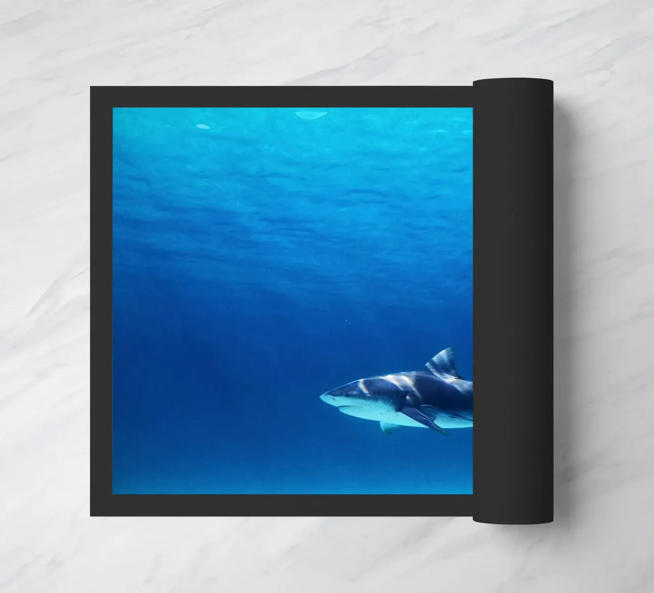 Predatore oceanico zerbino da Nature's Palette