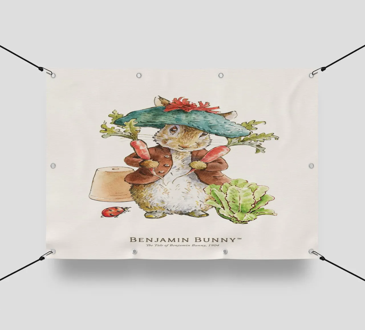 Peter Rabbit - Illustrazione di Benjamin Bunny telo in pvc da muench benjamin
